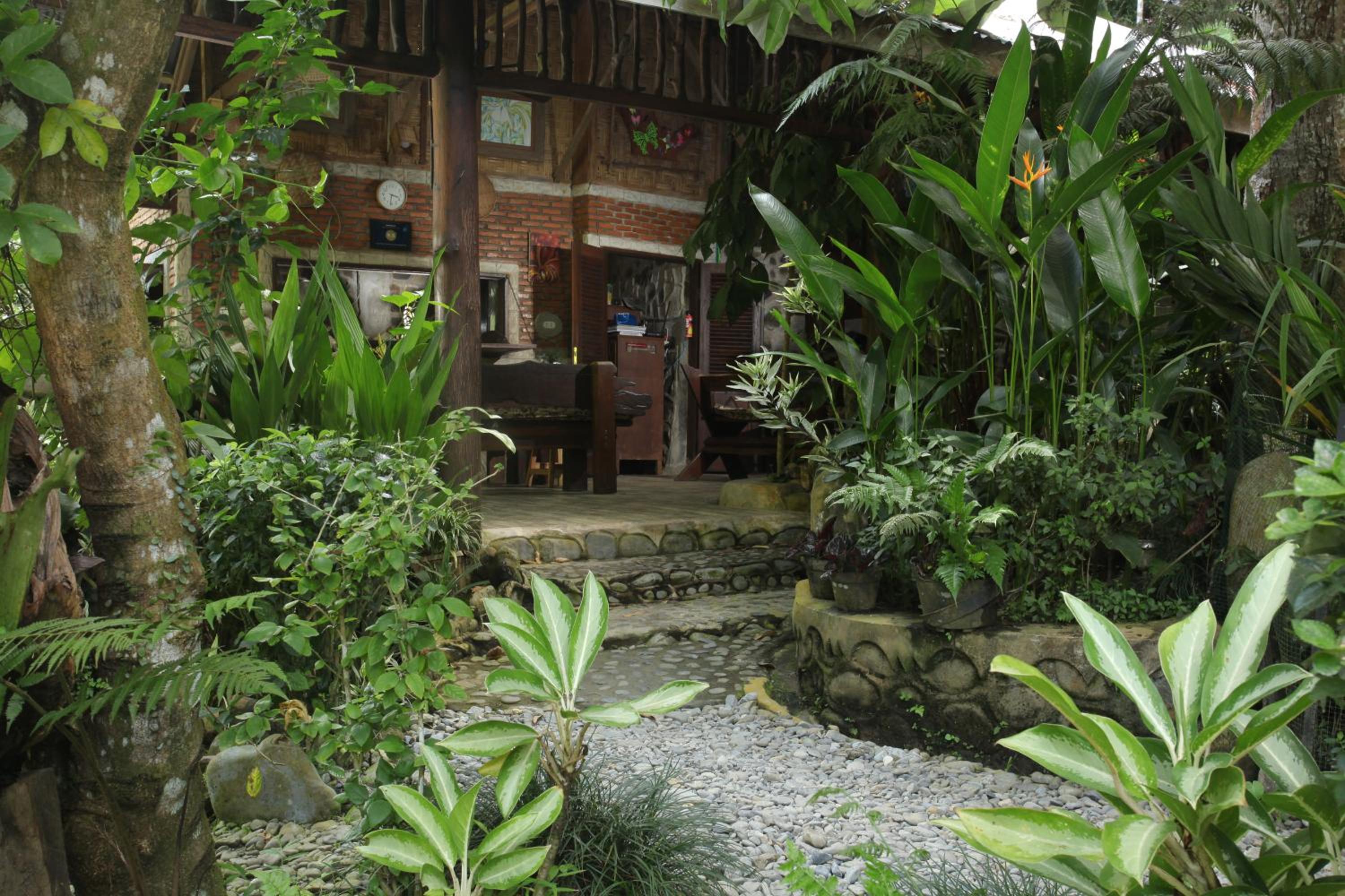 Kupu Kupu Garden Guest House & Cafe view 3