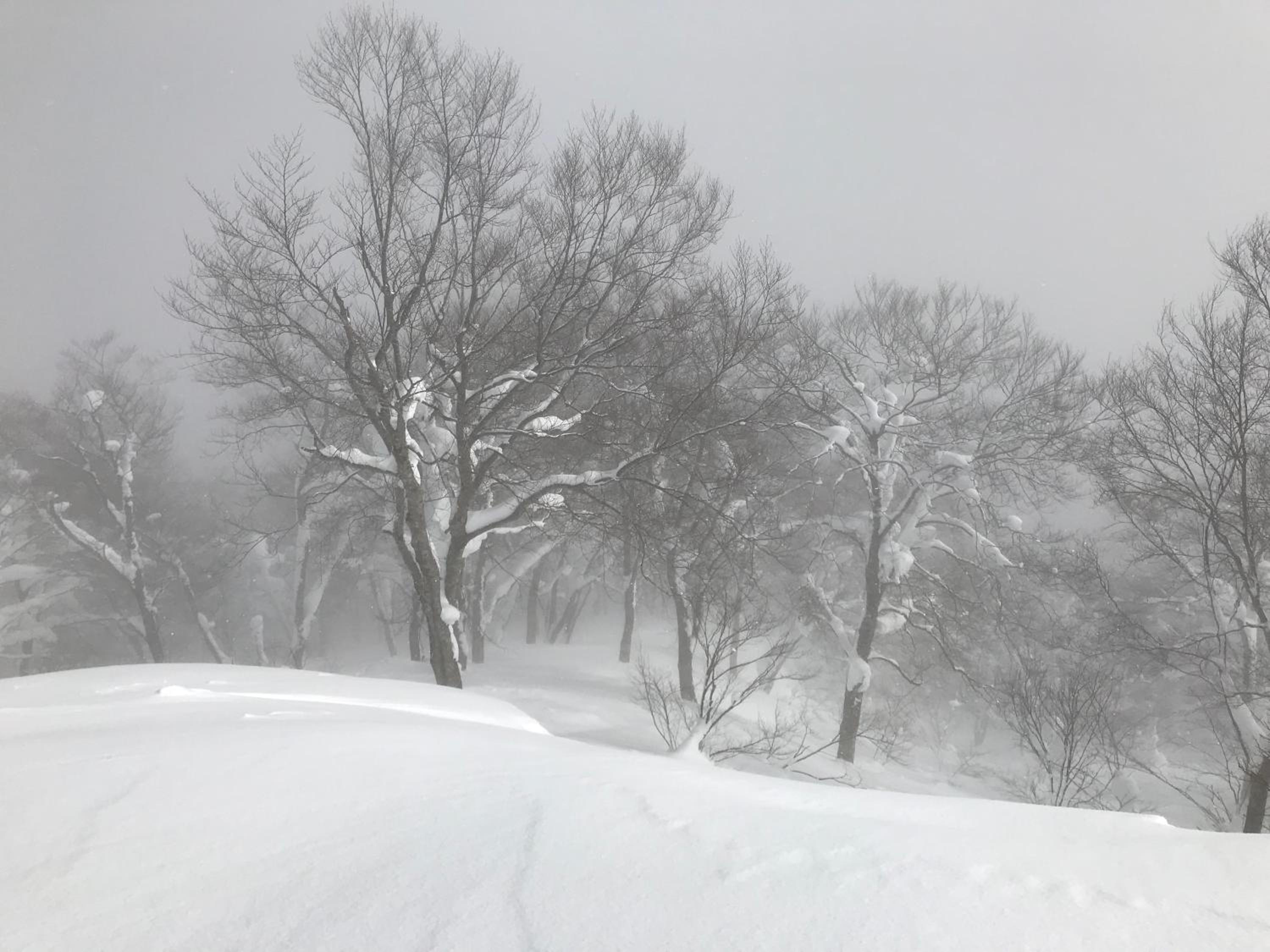 HAKUBA LODGE OMUSUBI view 5