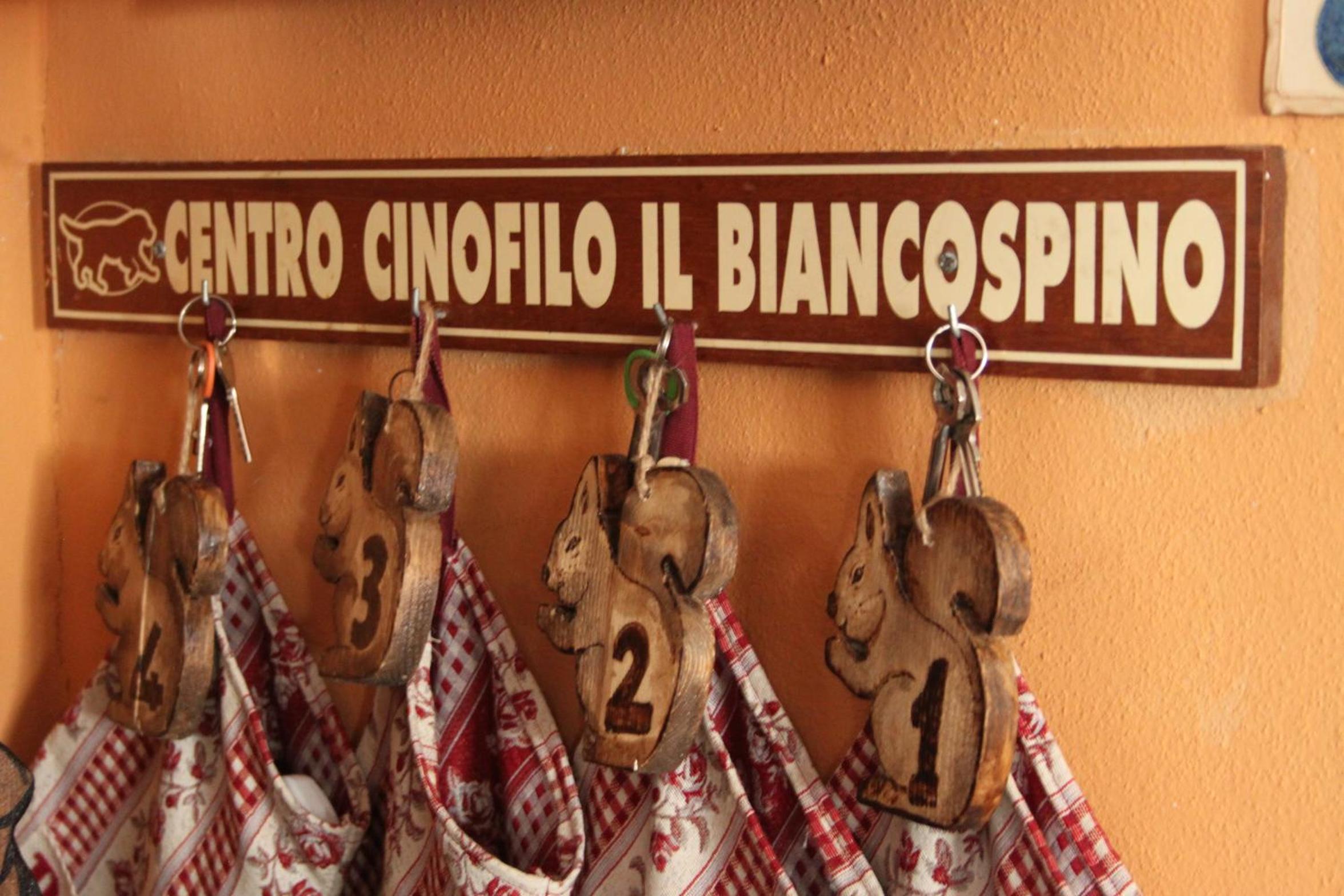Il Biancospino
