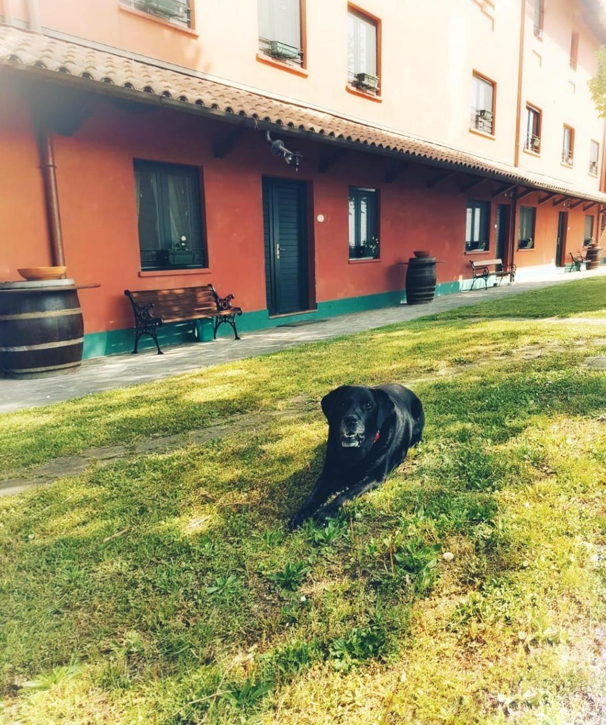 Photo 21