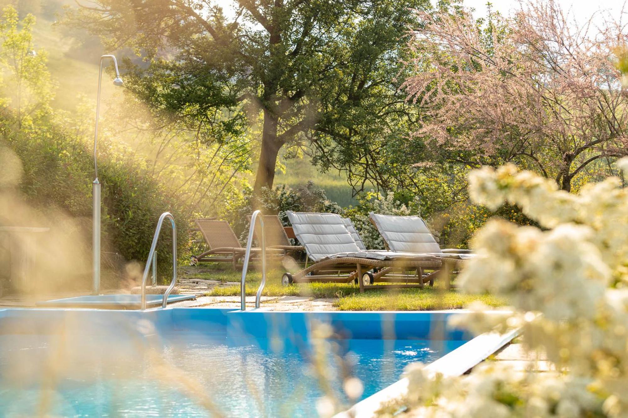 Villa Messner view 5