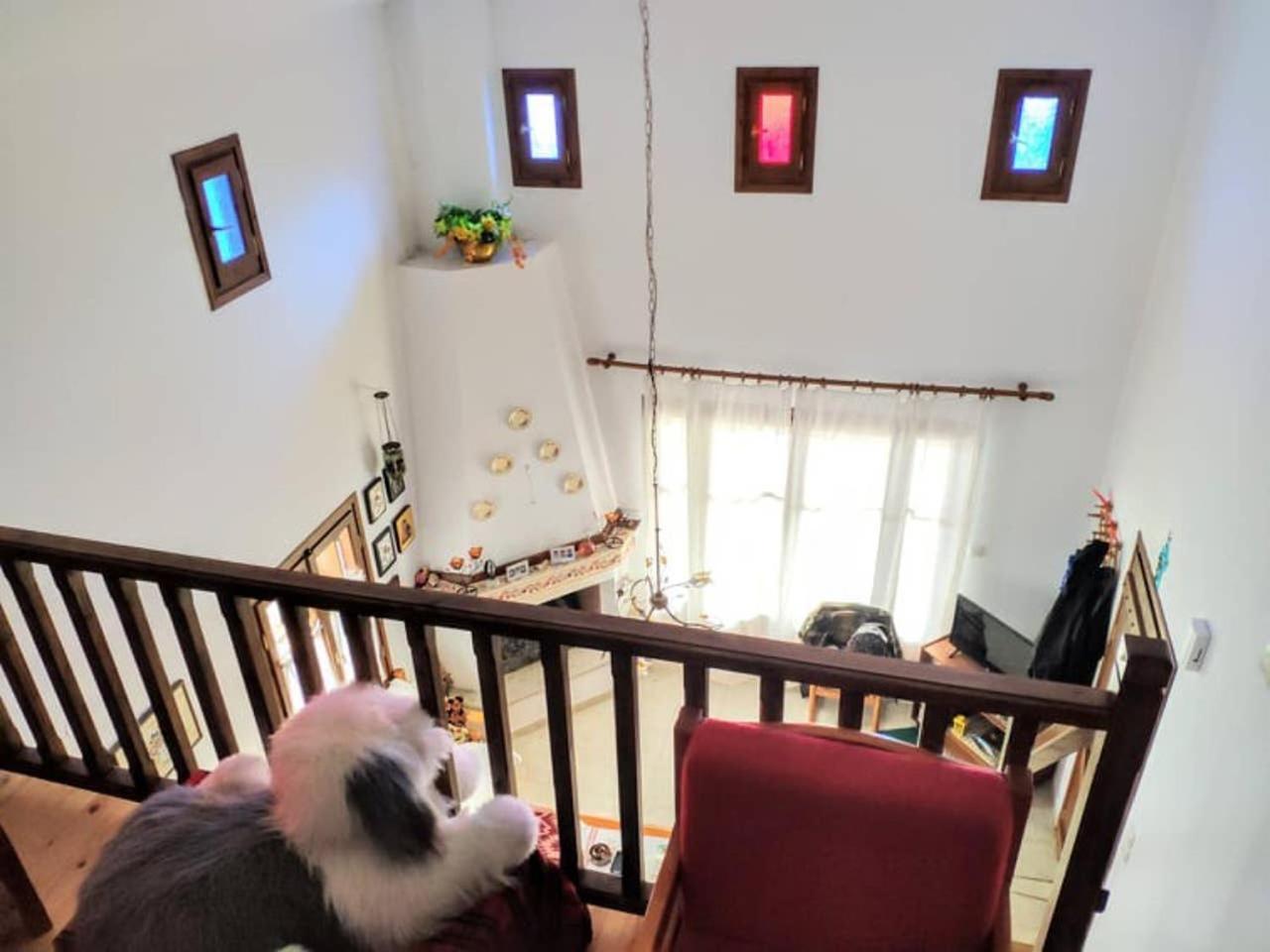 Photo 17