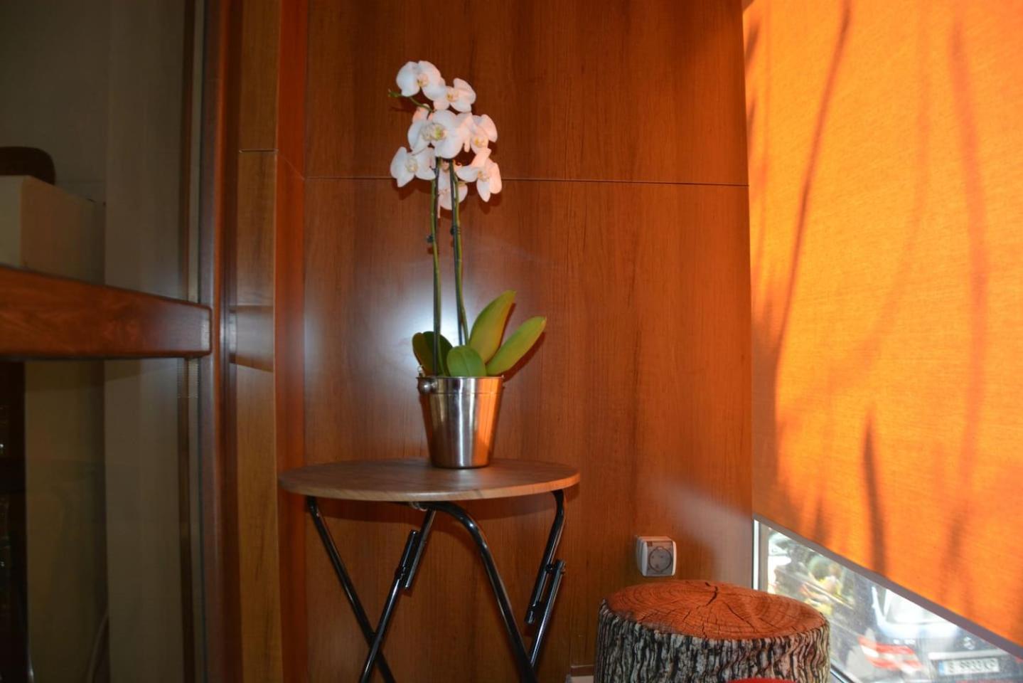 Unbeatable Location - New Lux Apartment Varna beach by Flat Mаnager