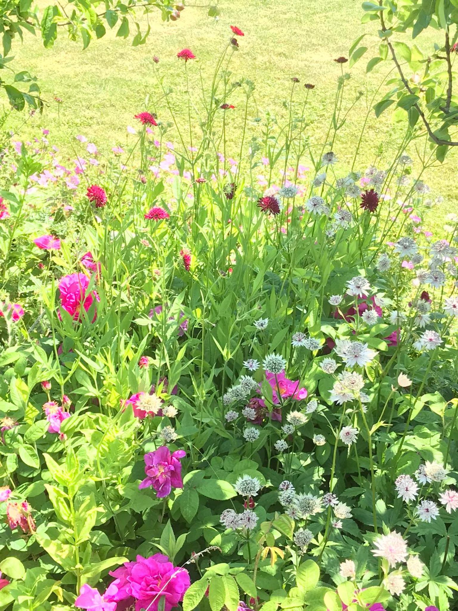 Beryl Country House