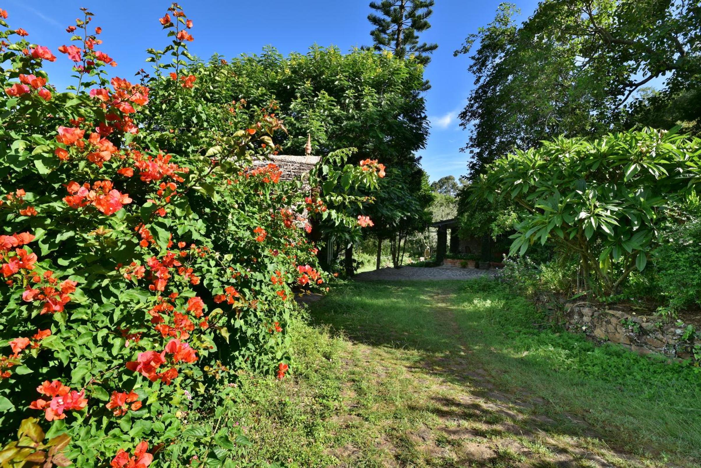 SaffronStays Nandanvan Estate - 3-BR villa in 35-acre coffee estate near Kodaikanal offering guided tours and bonfires view 3