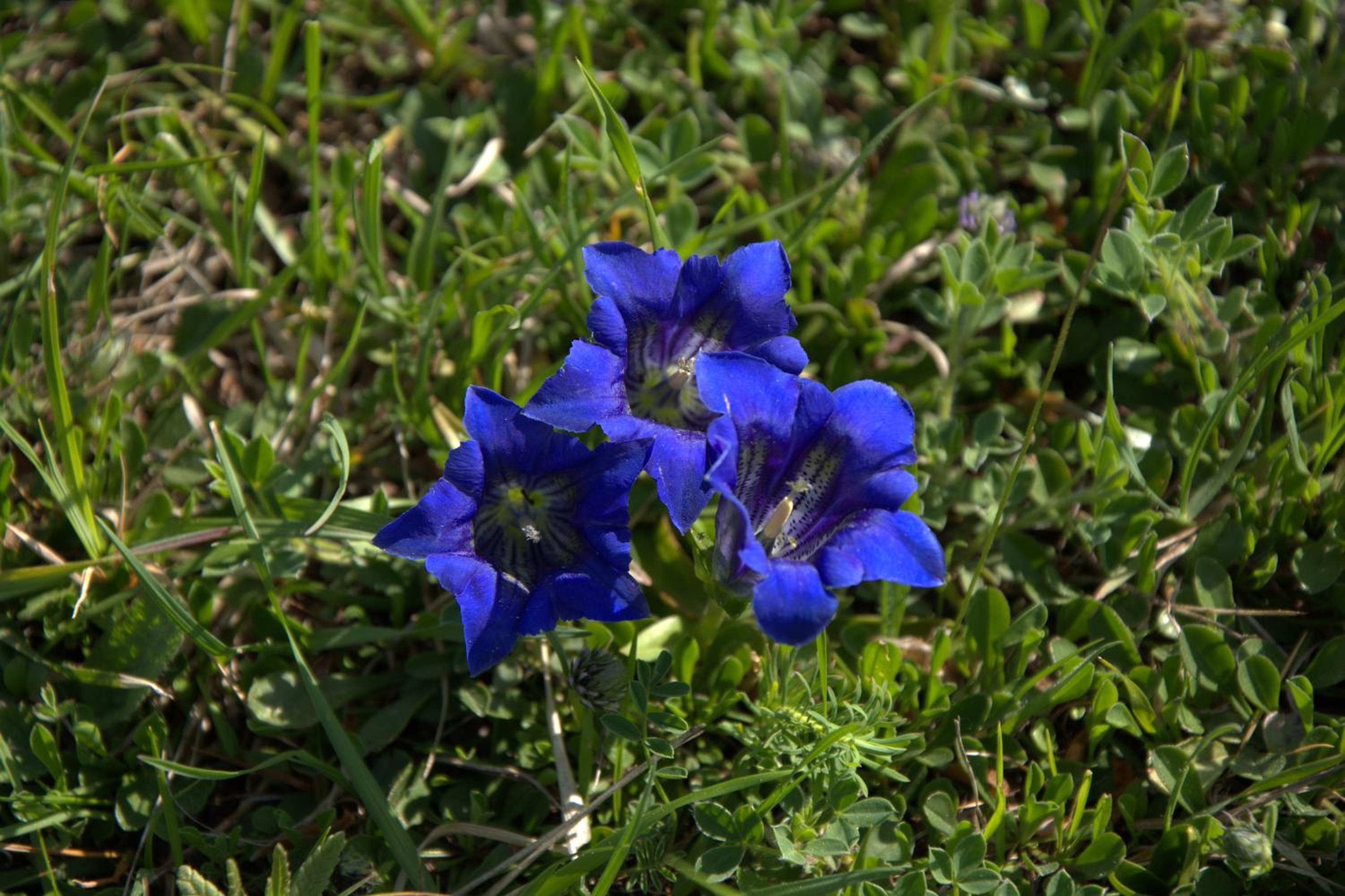 Photo 29