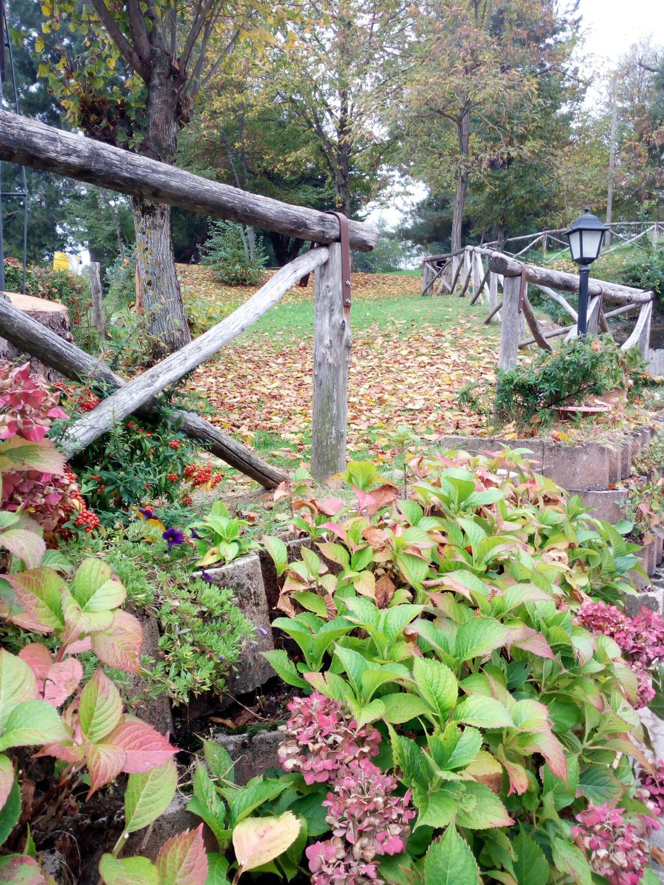 Il Castagno - Property Image 32