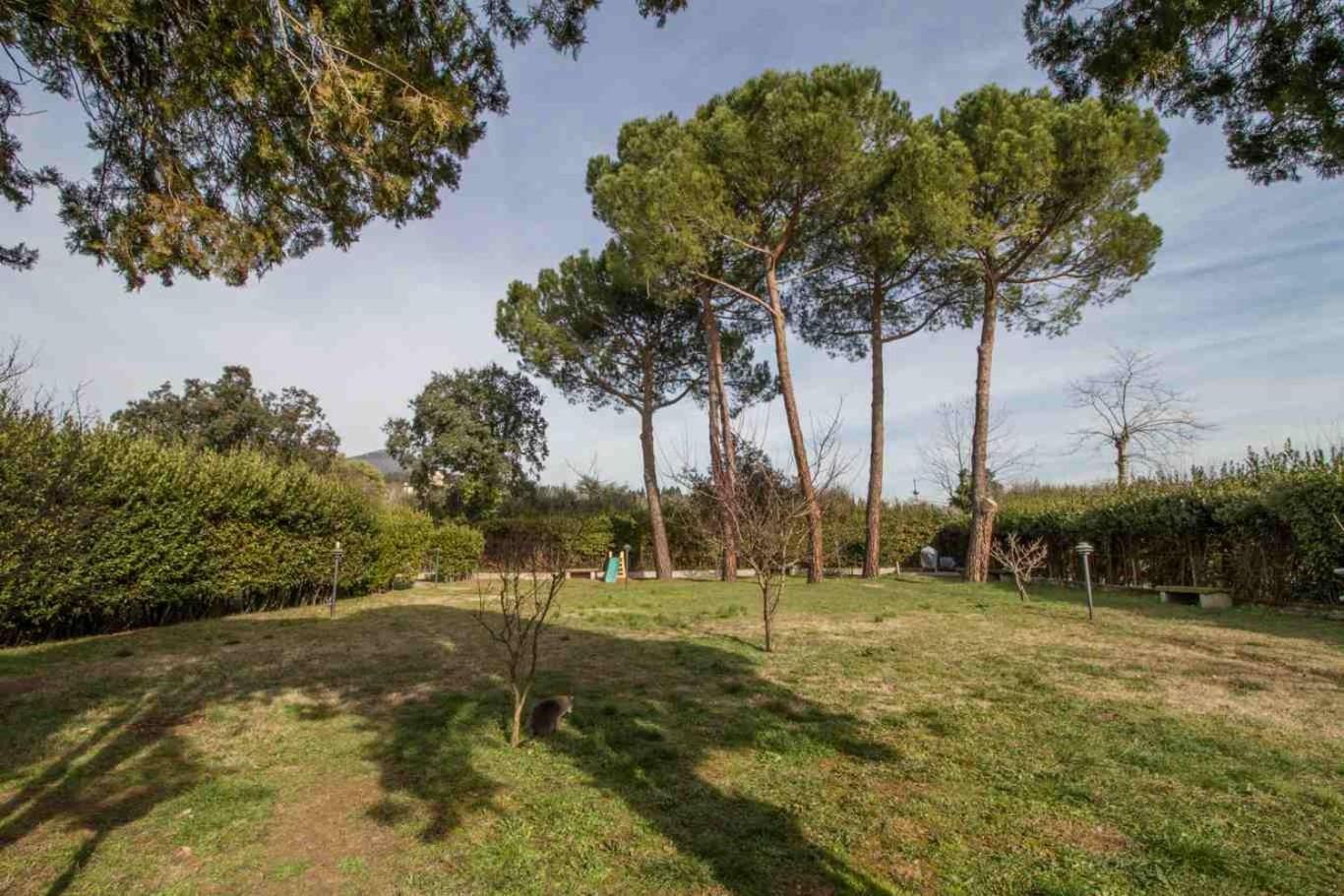 B&B PALAZZI