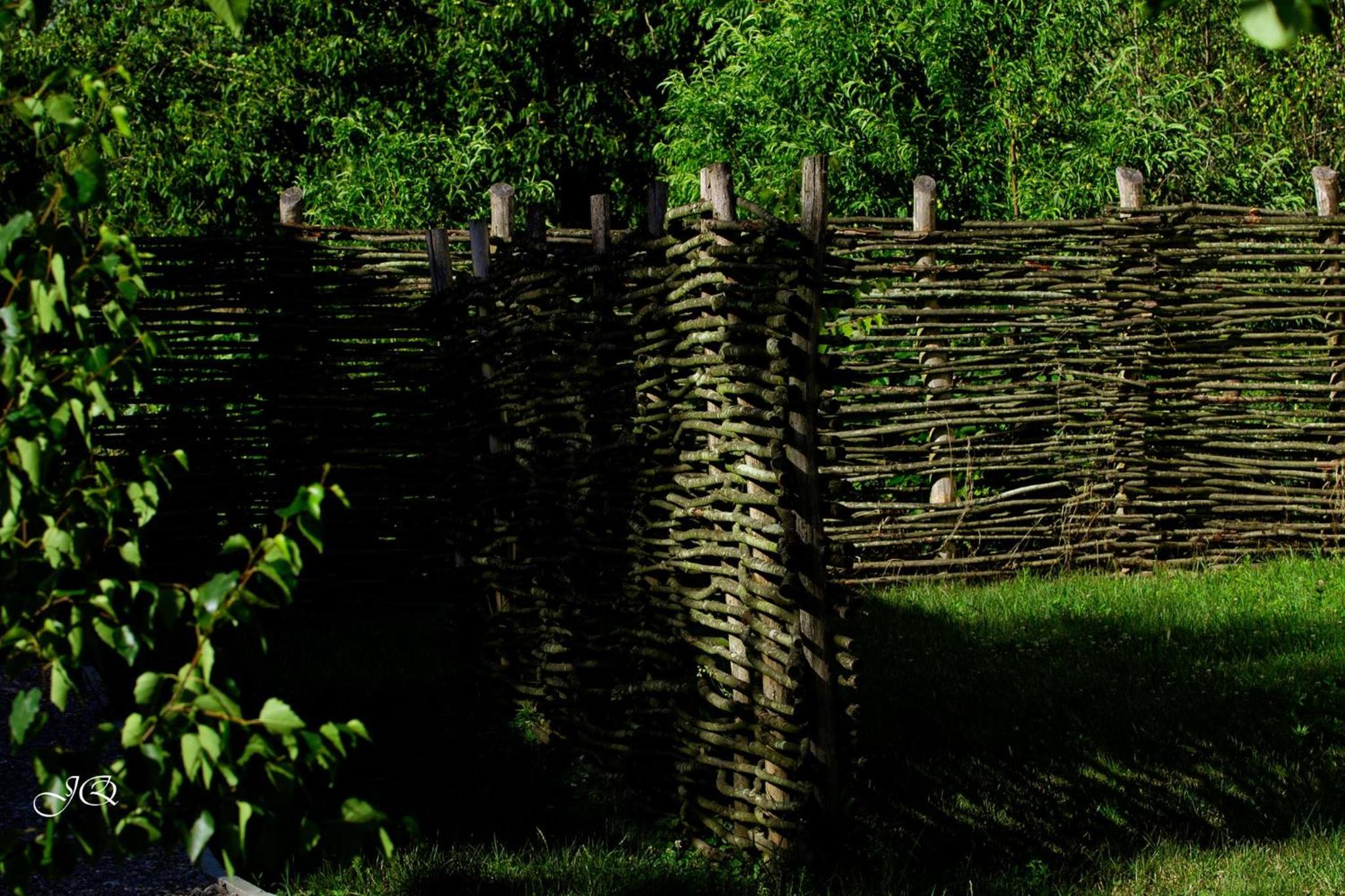 Photo 20