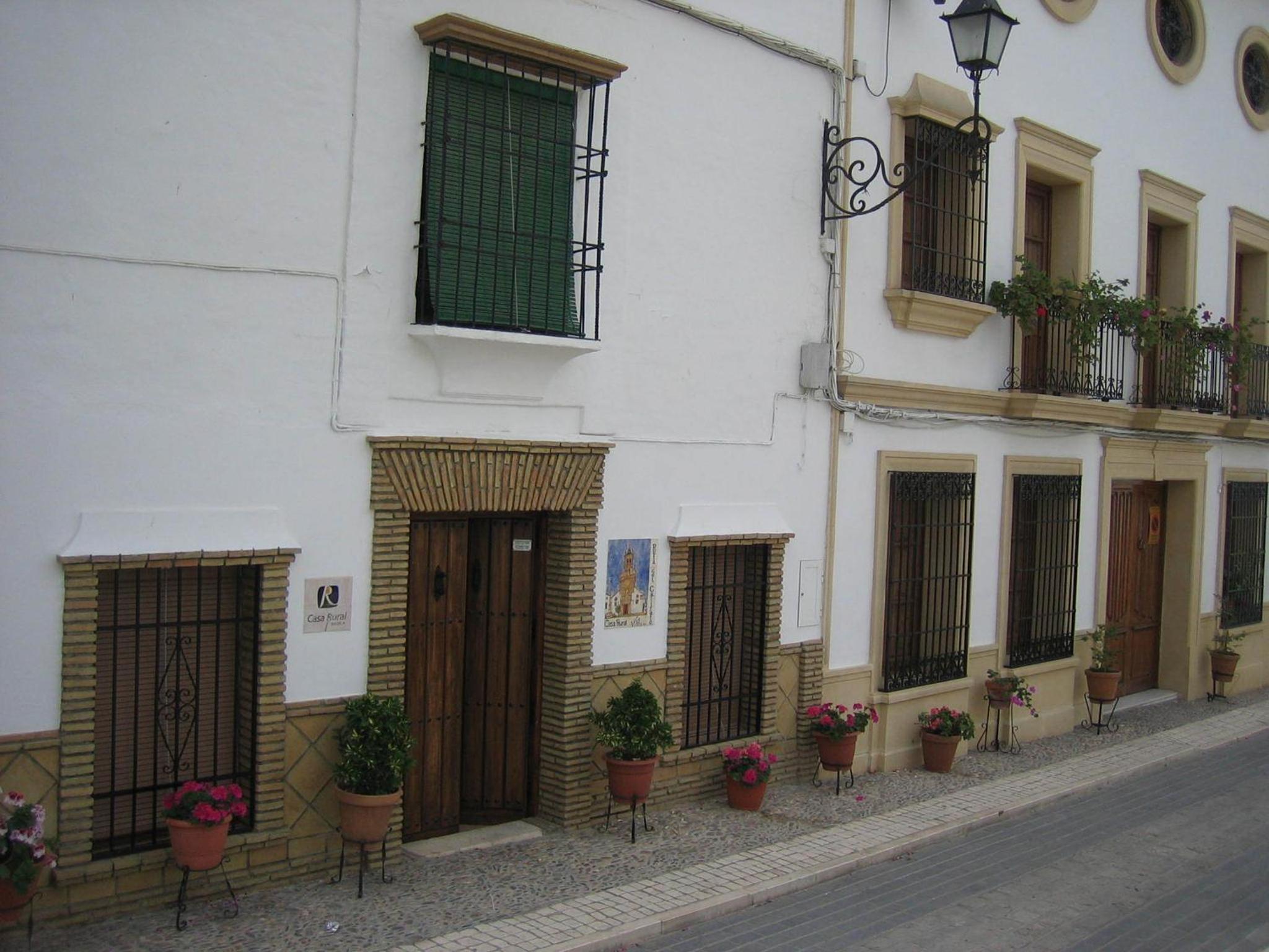 Photo 15