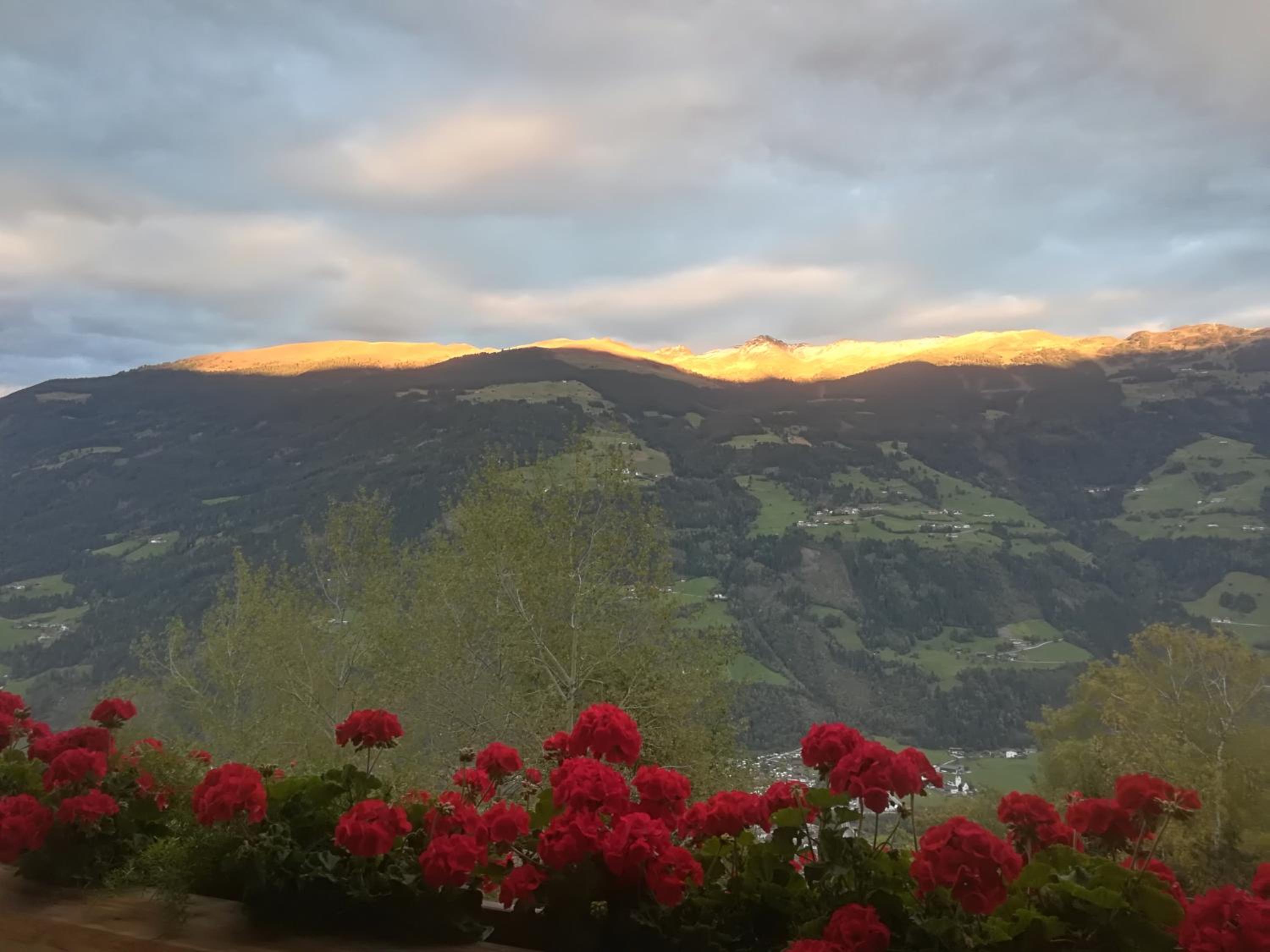 Apart Tiefenbach