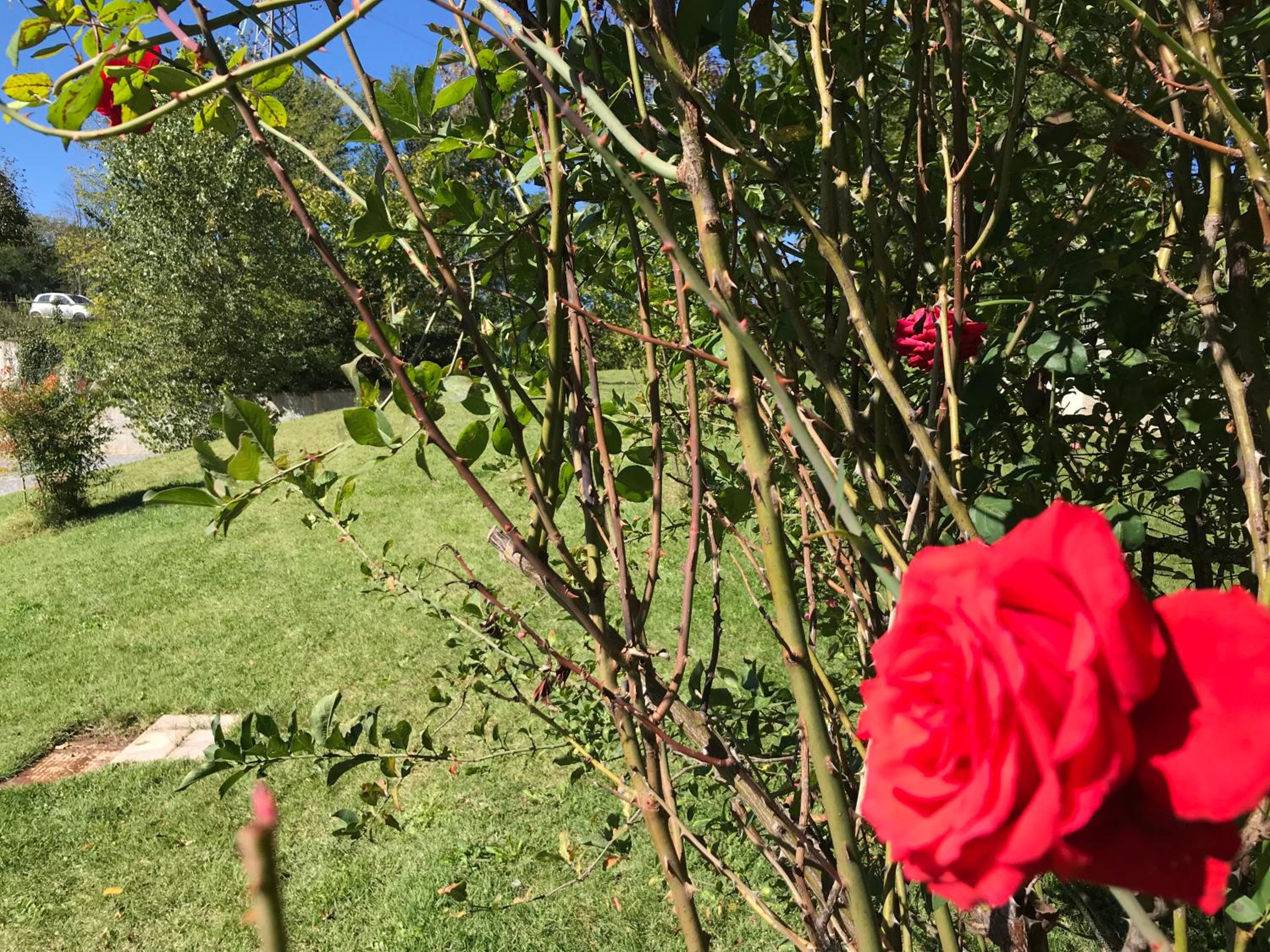 B&B Oasi Vetoio