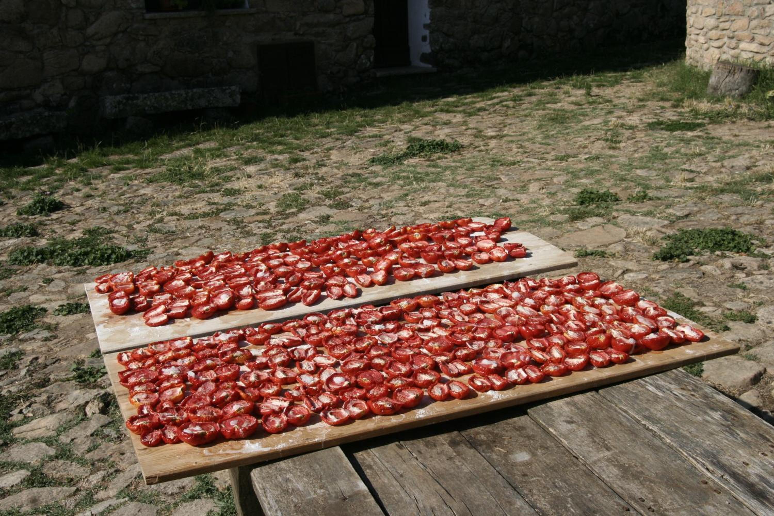Photo 34