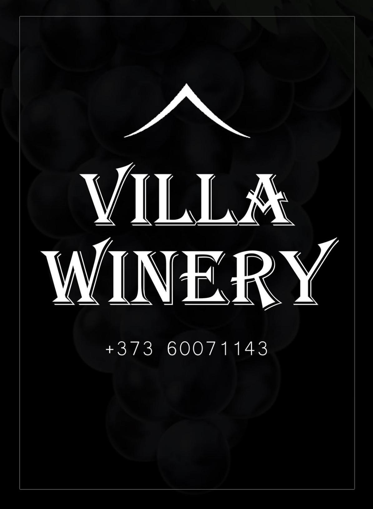 Villa Winery view 5