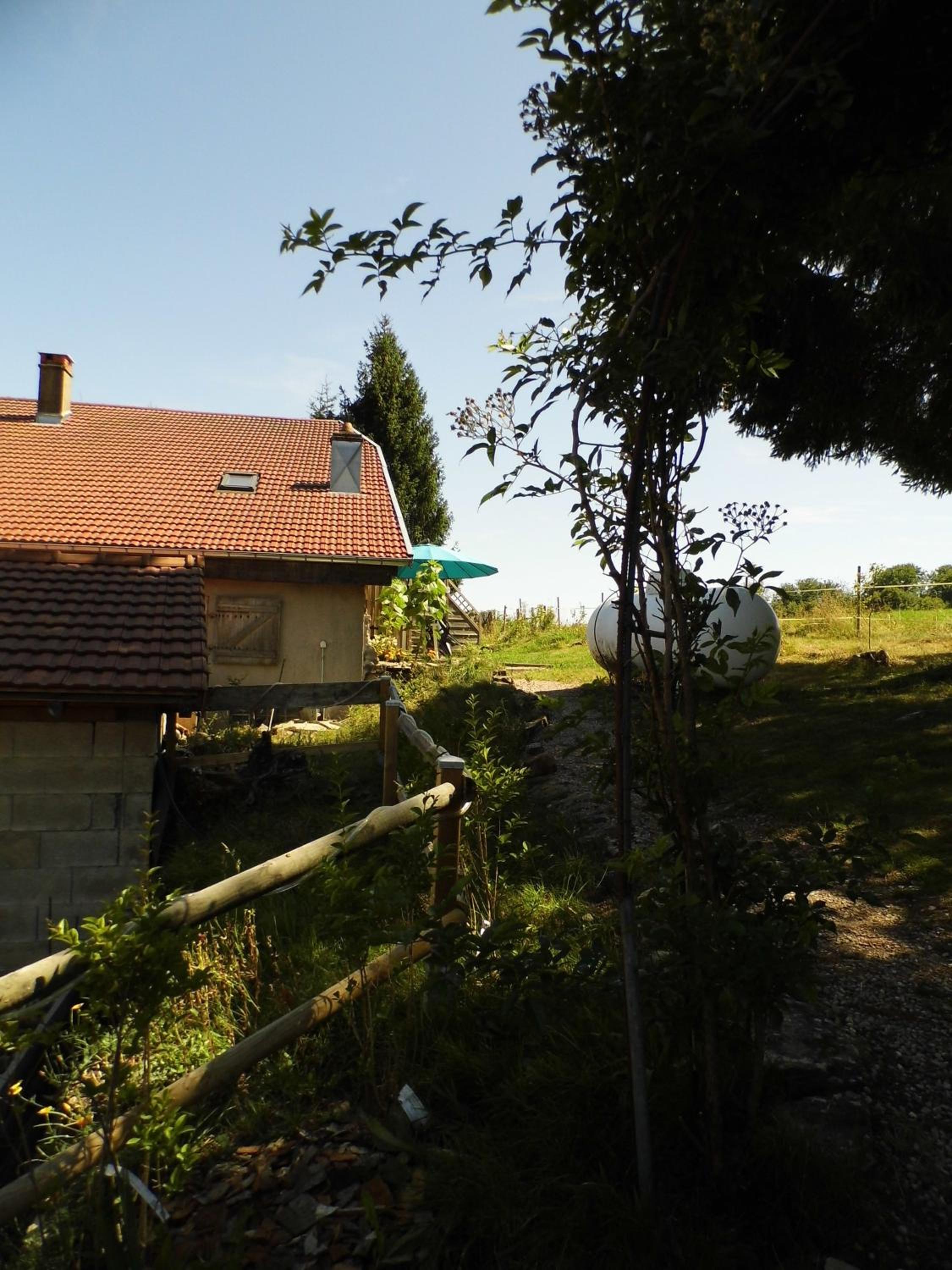 Photo 40