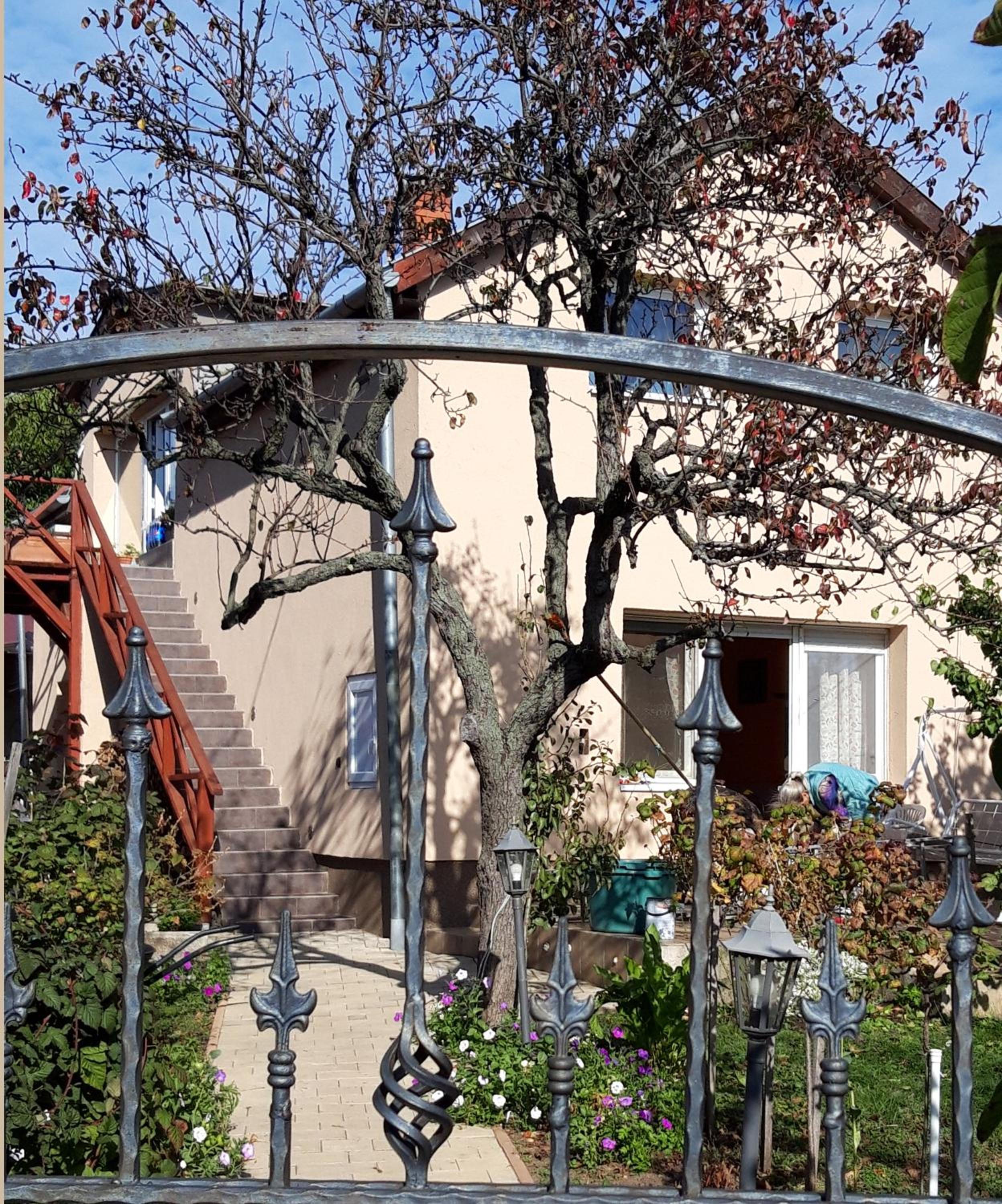 Photo 27