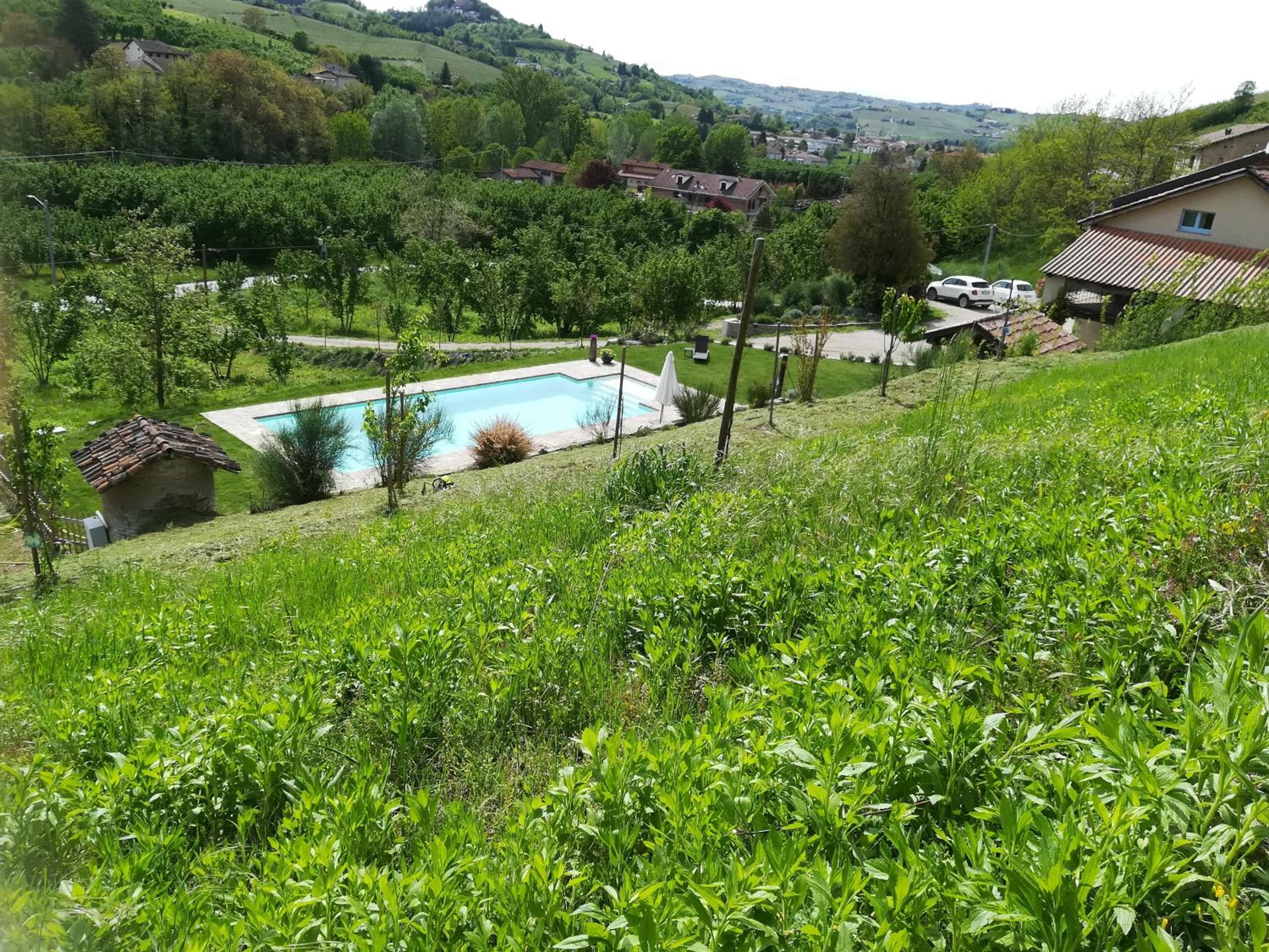 Ca del bosso photo 5