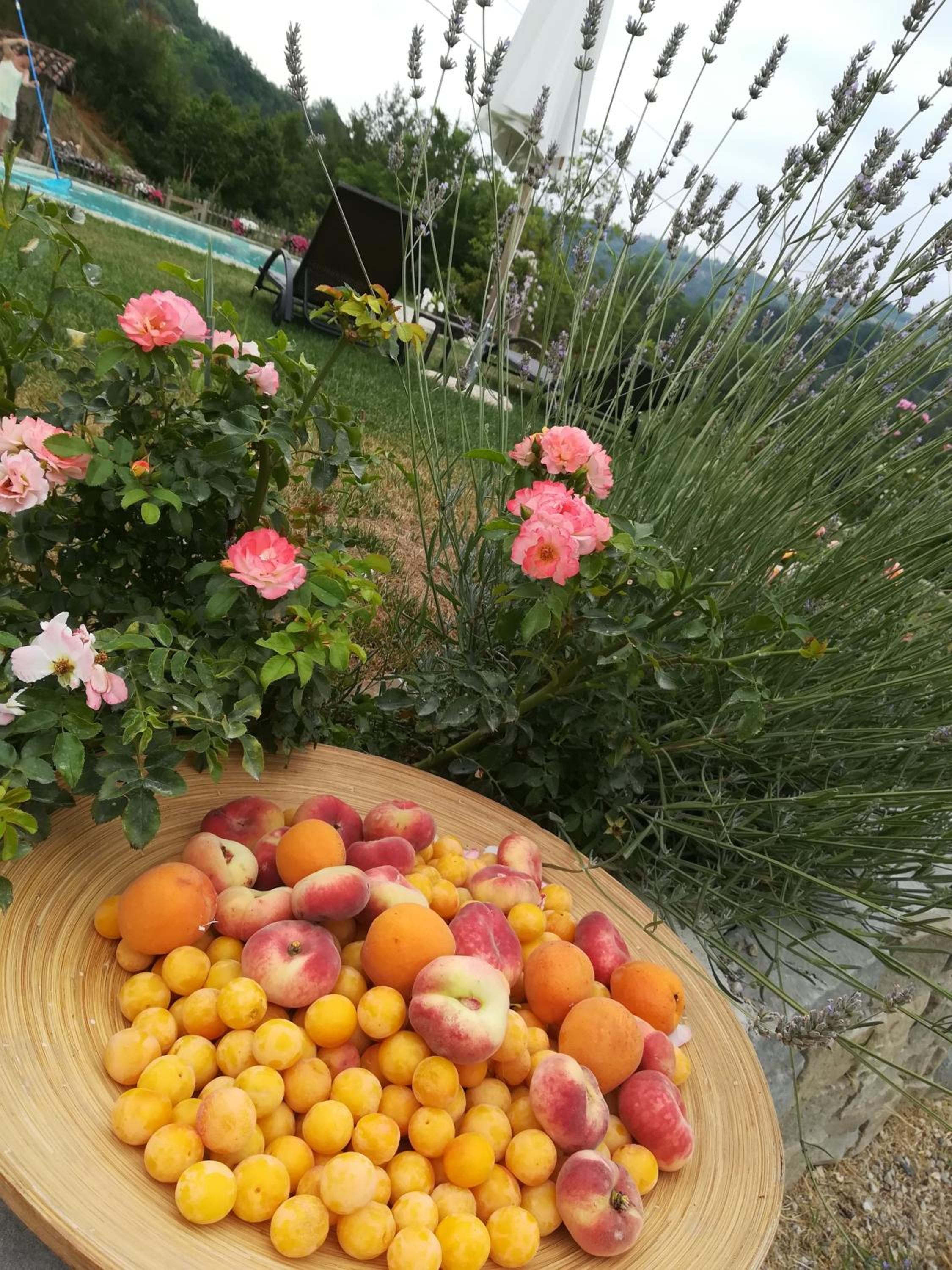 Ca del bosso photo 4