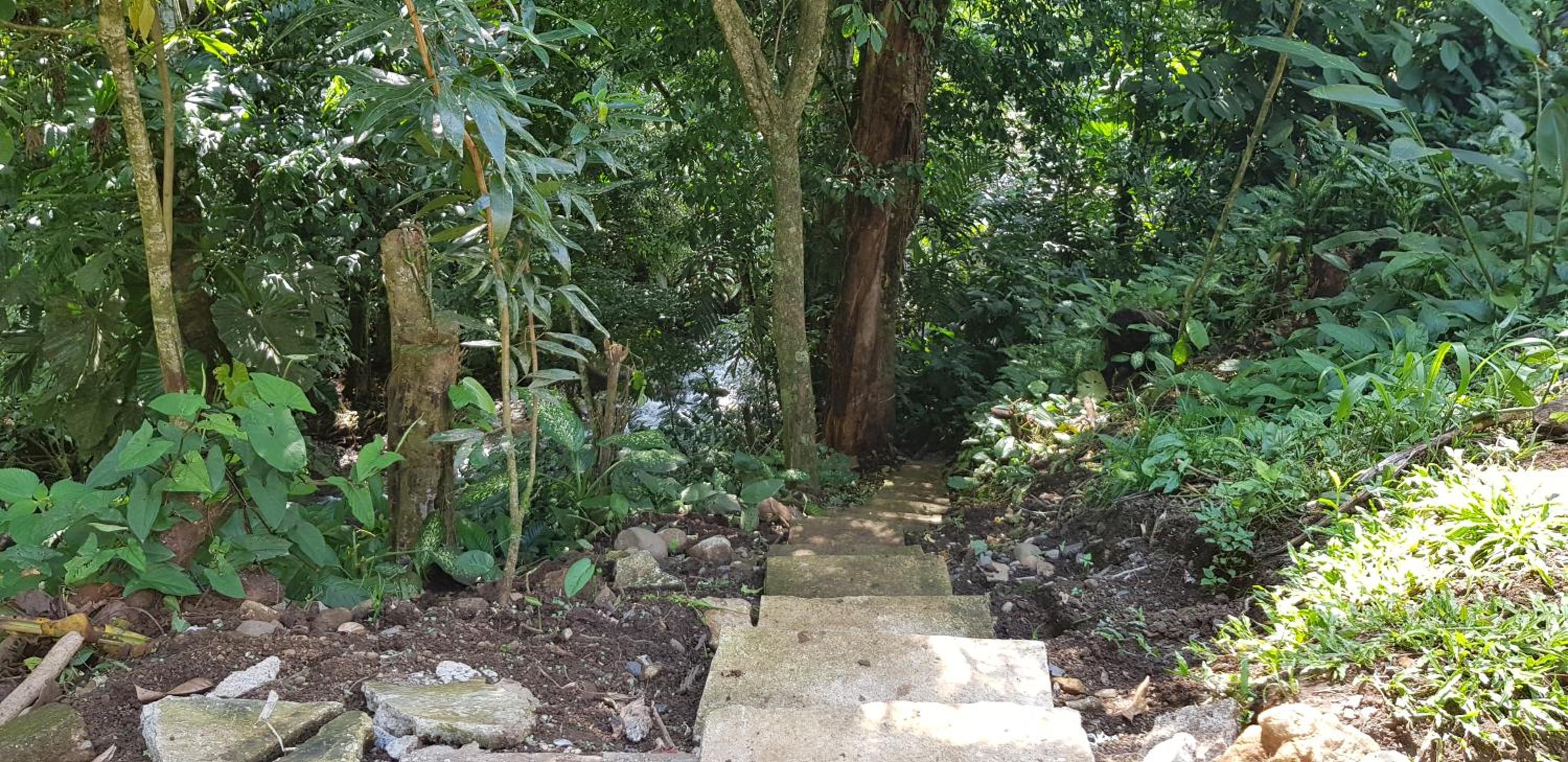 Arboledas house by the River,Forest and Gardens