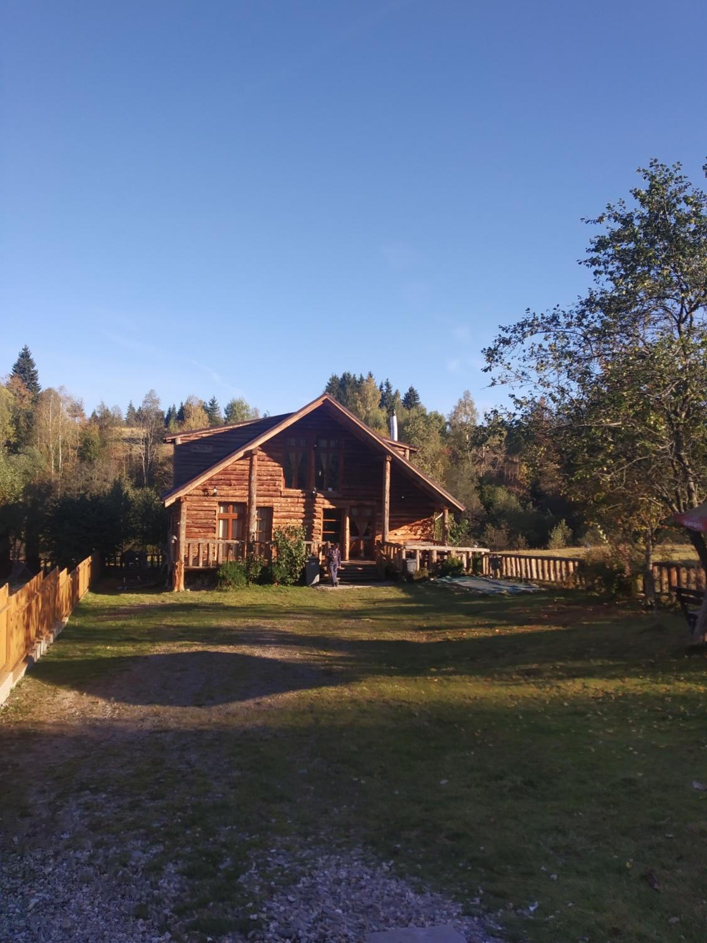 Cabana Belis Dealu Negru view 2