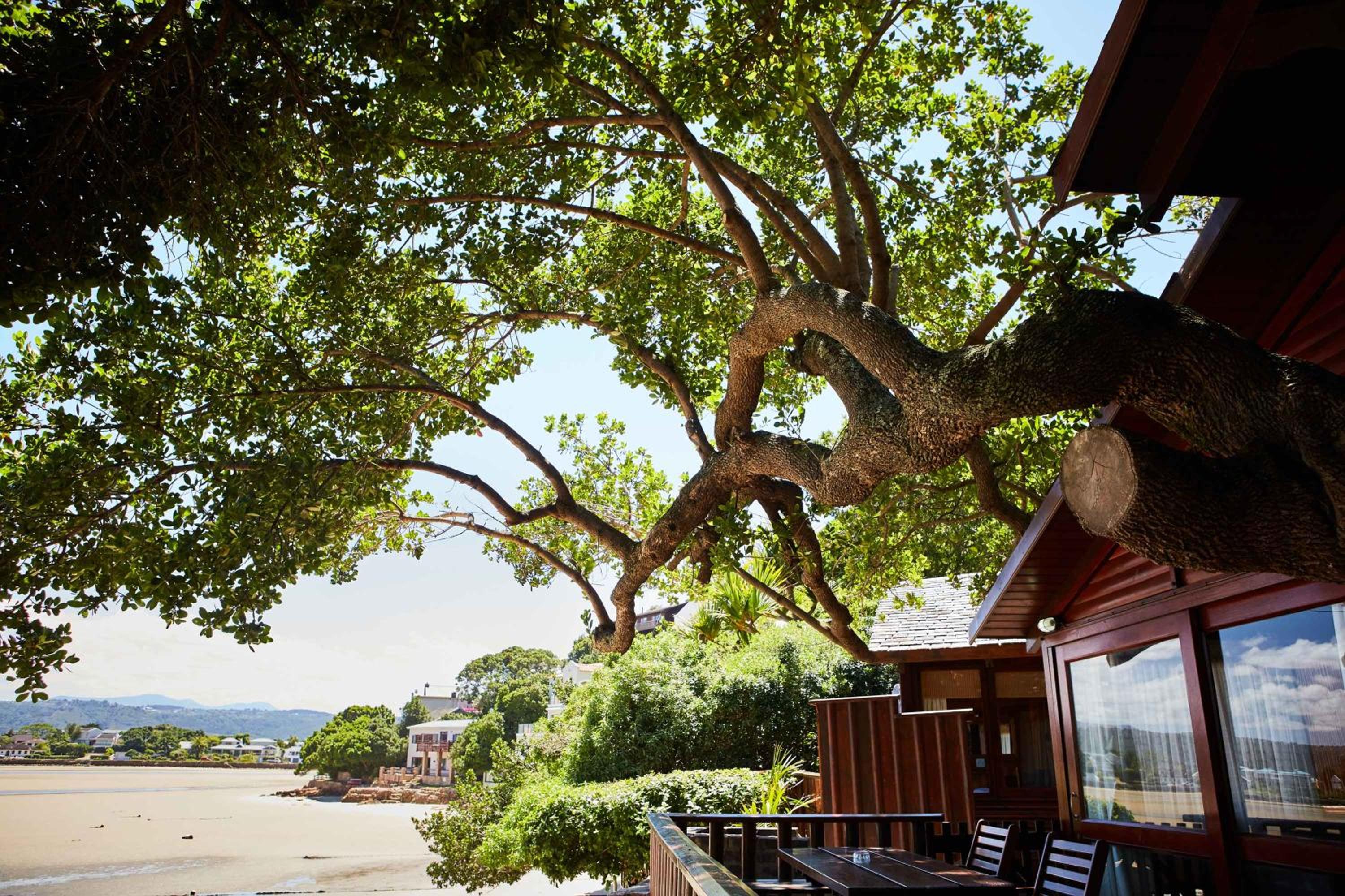 Under Milkwood Resort