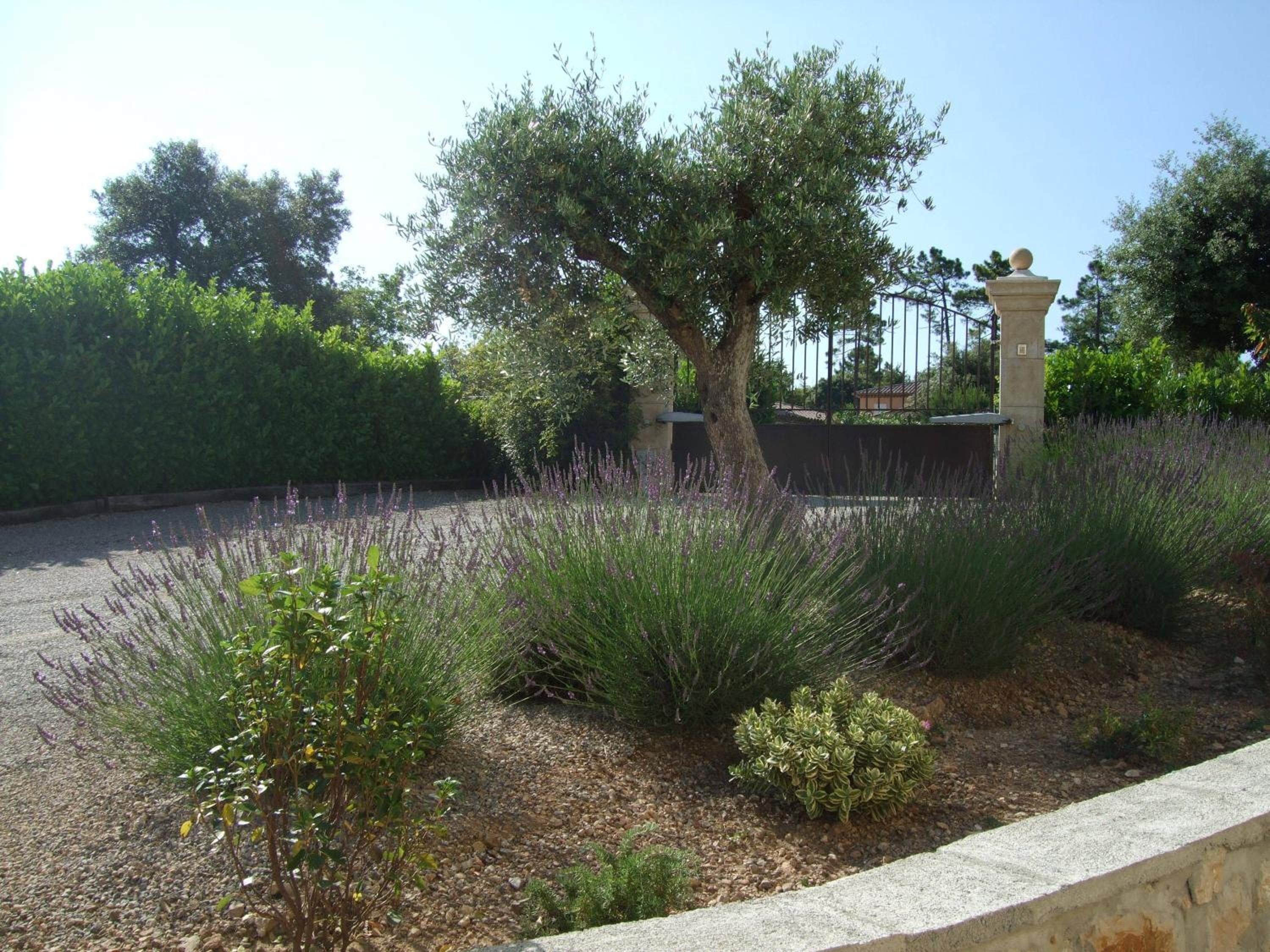 Villa Verdi