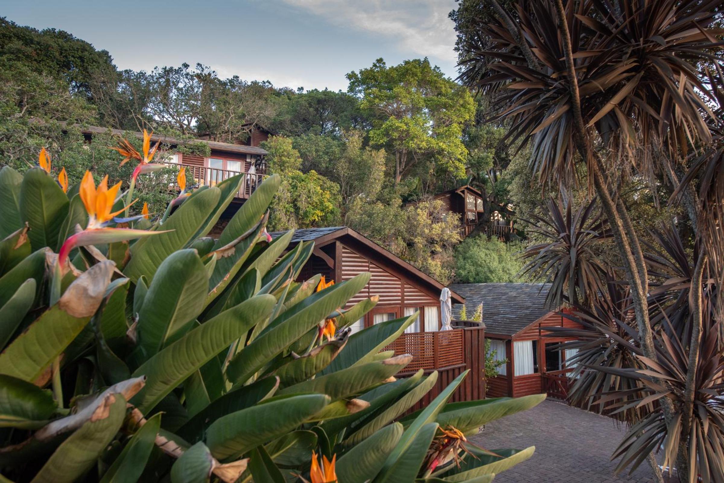 Hotel Under Milkwood Resort - Image 1