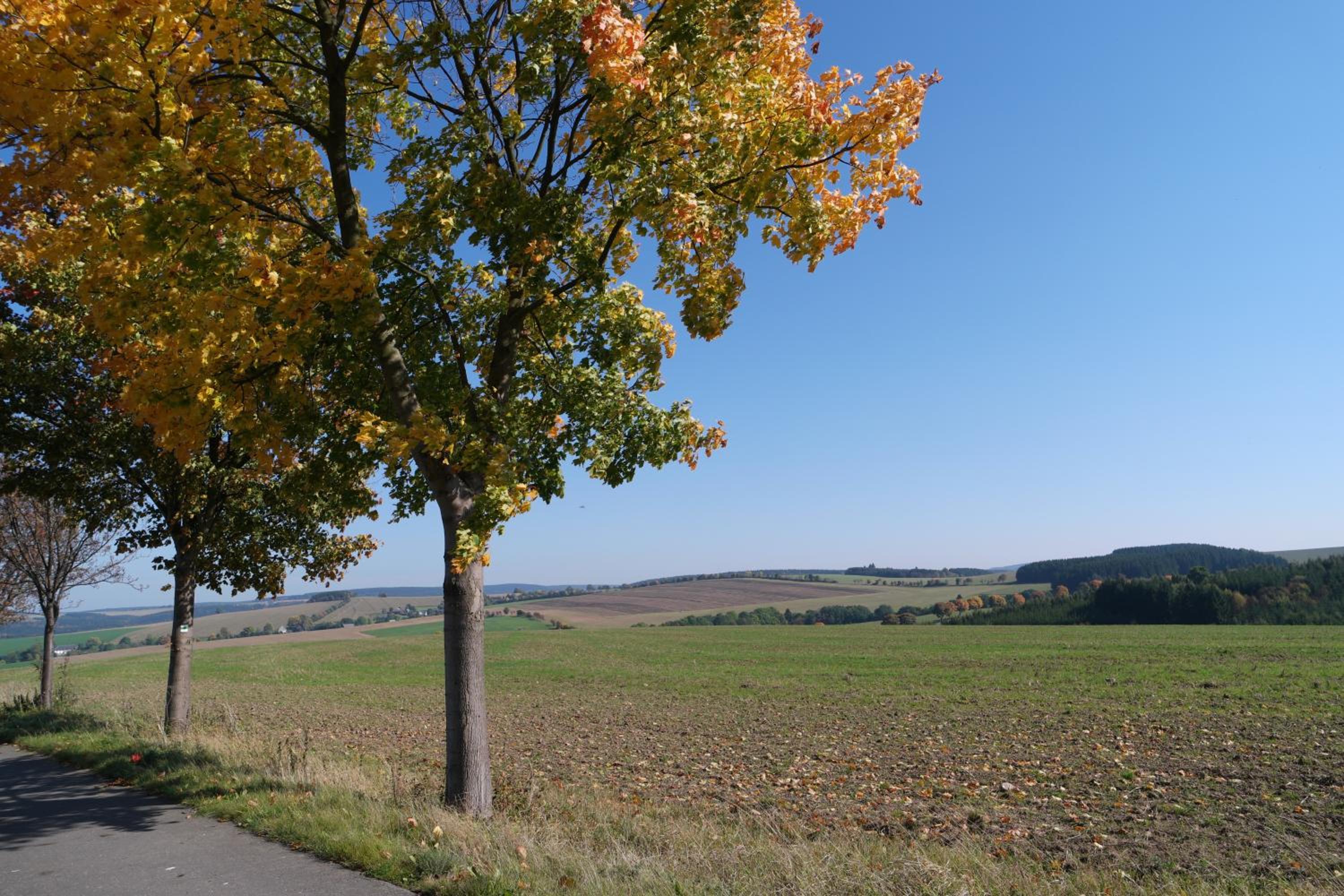 Ferienwohnung Blaumeise - Property Image 10