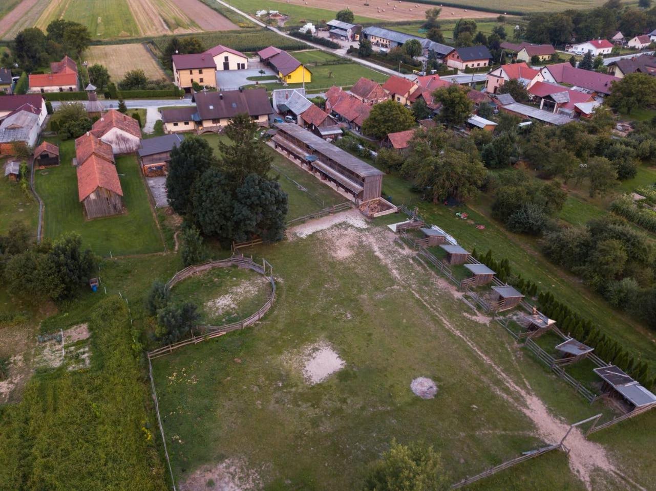 Photo 19
