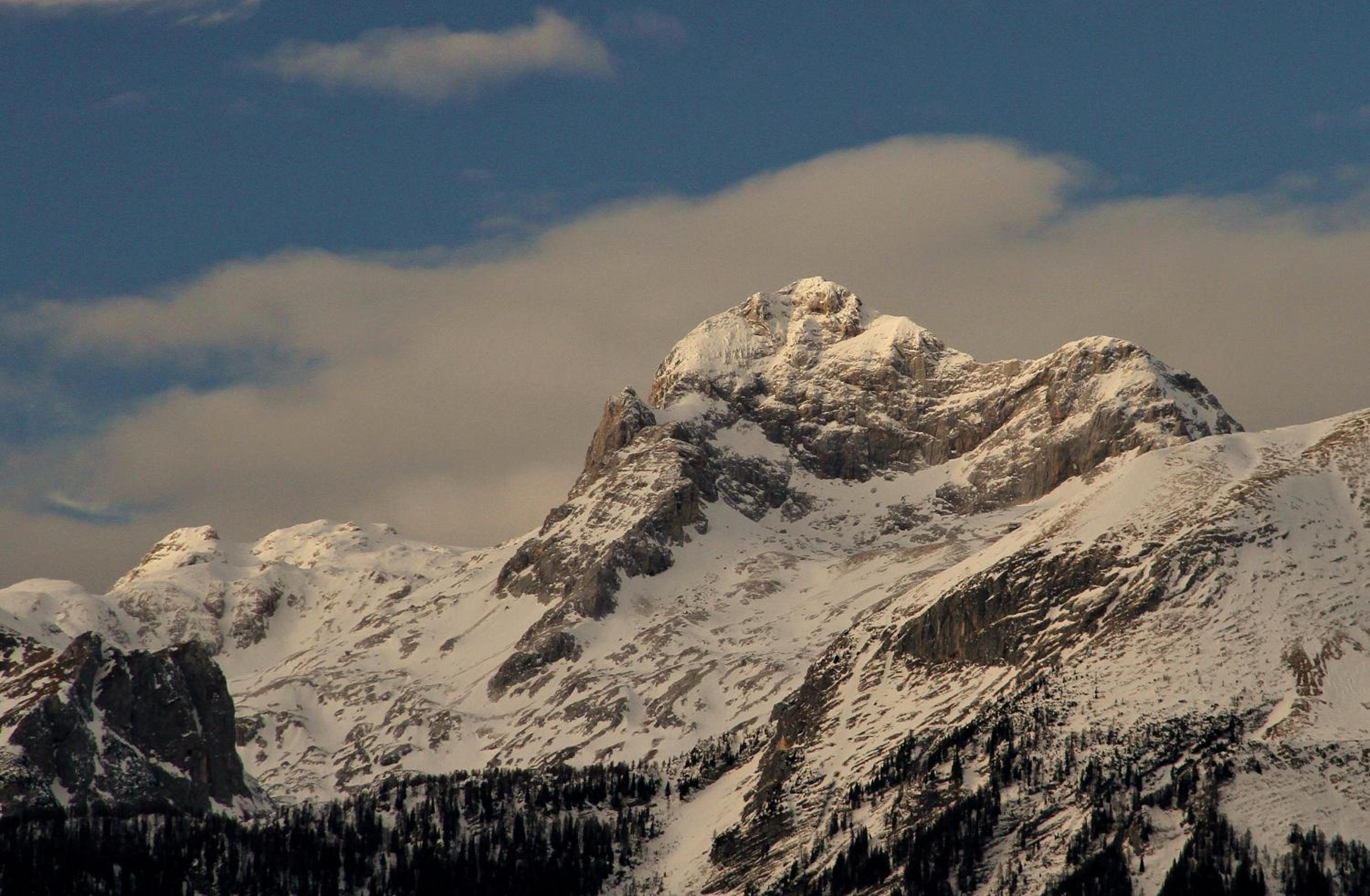 Apartmaji Alpski cvet - Hiša Gorenc view 5