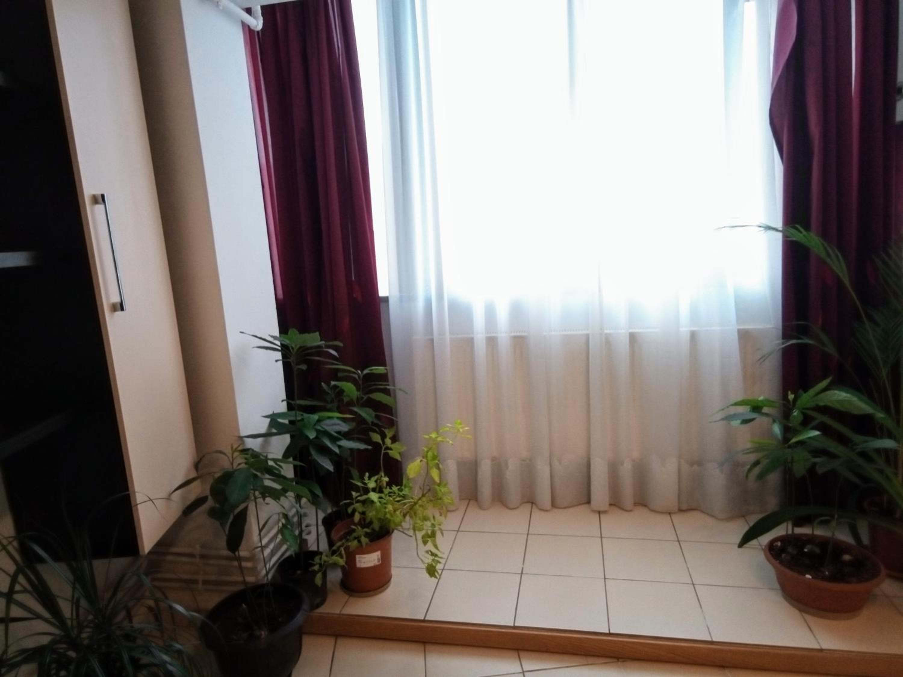 Cozy Downtown Oasis view 3