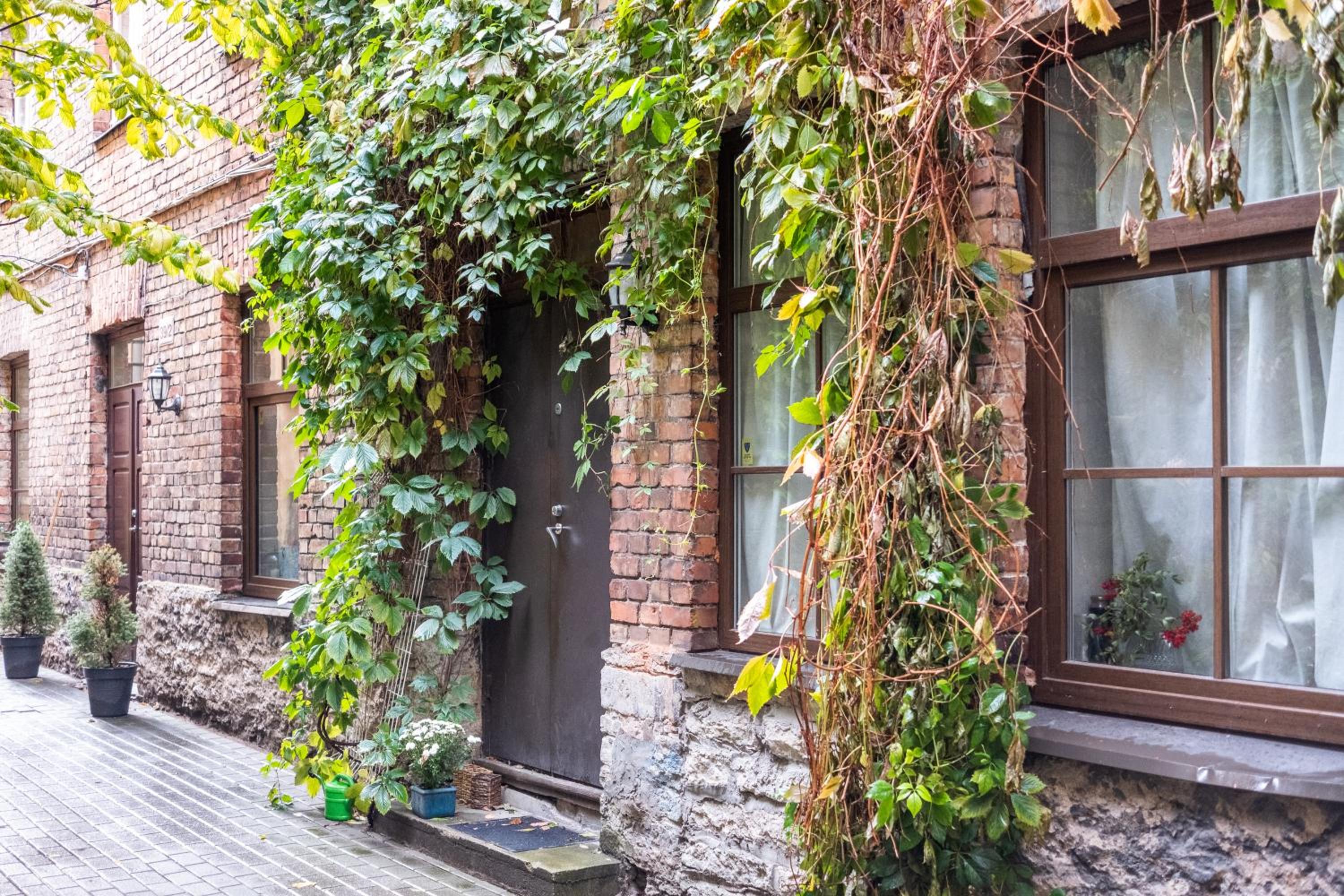 Dream Stay - Bright 2-Bedroom 2-Floor Old Town Apartment view 4