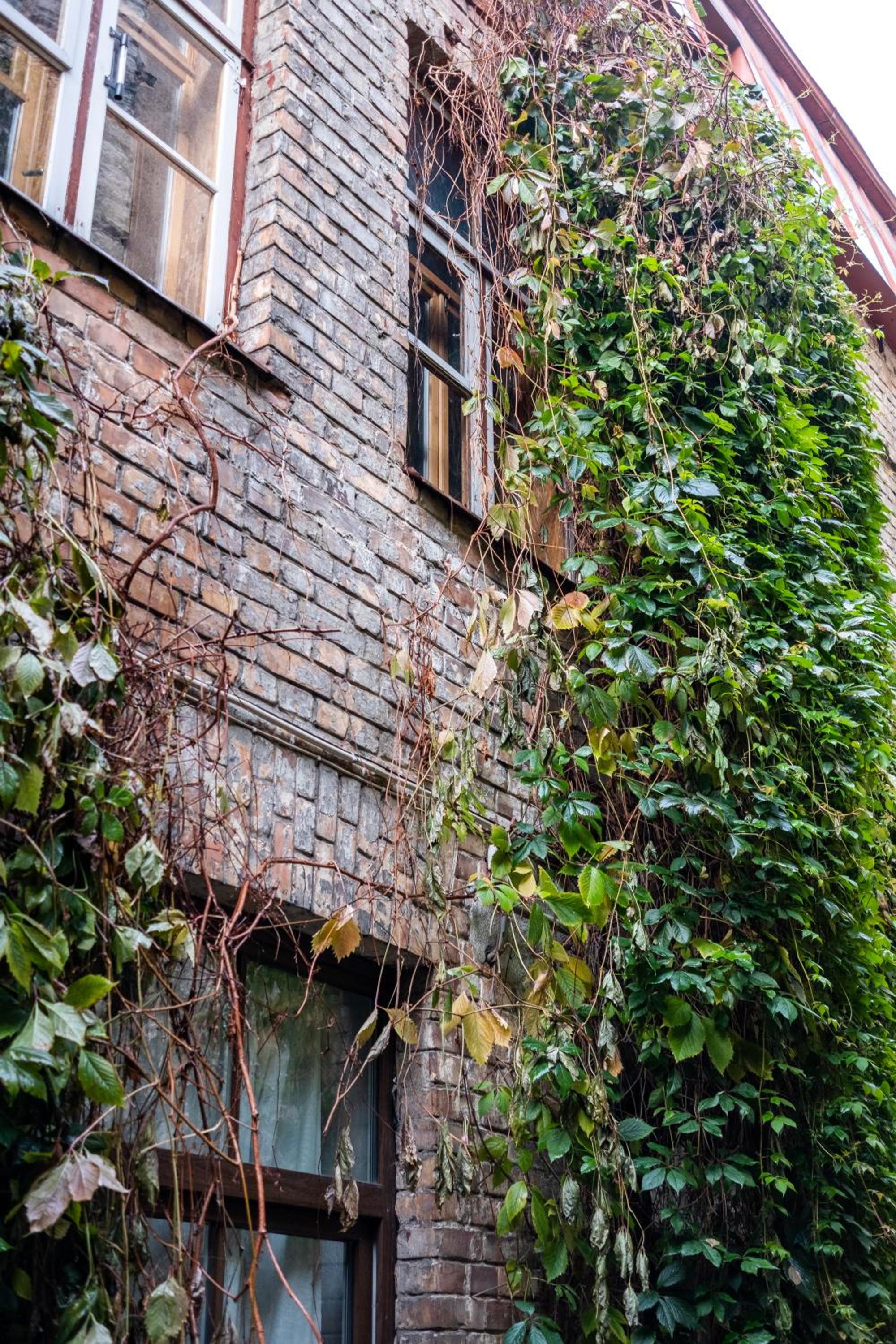 Dream Stay - Bright 2-Bedroom 2-Floor Old Town Apartment view 5