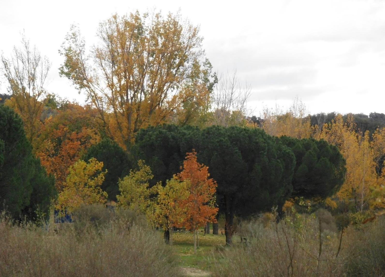 Apartamentos "Casa Rural de Aldea" view 2