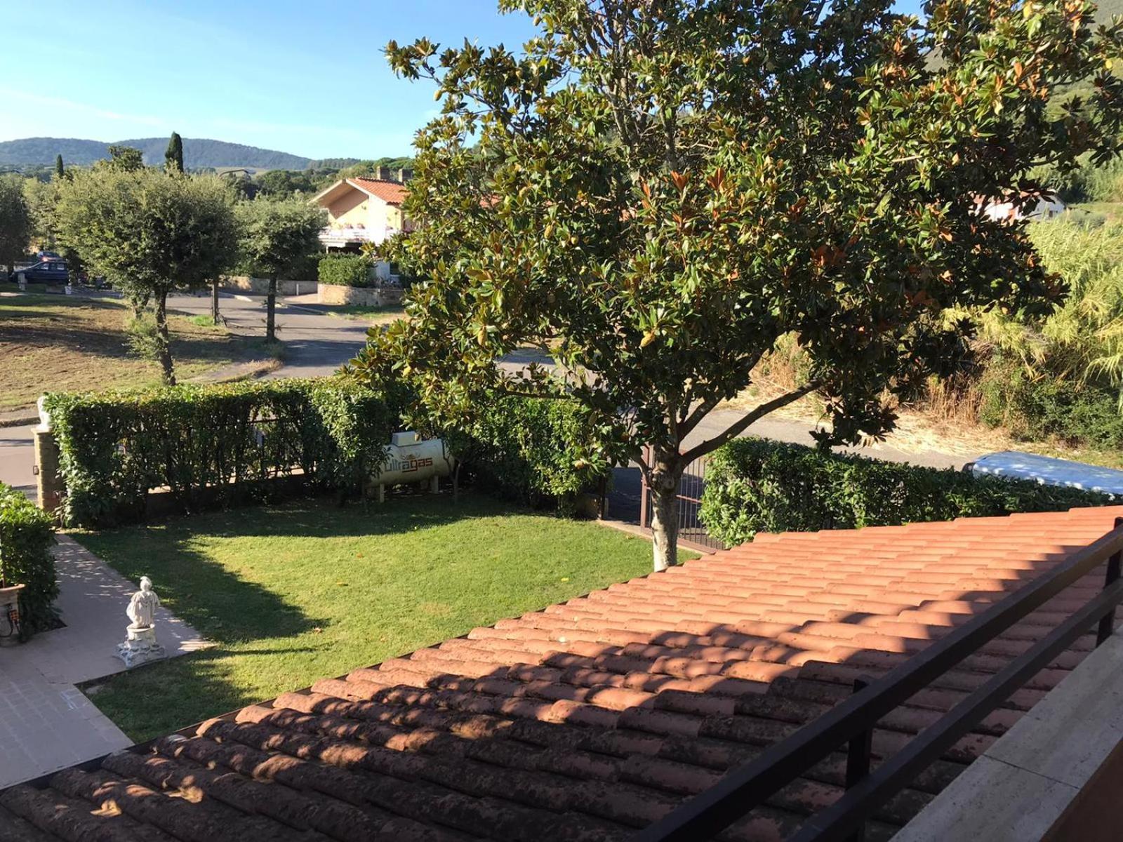 Photo 20