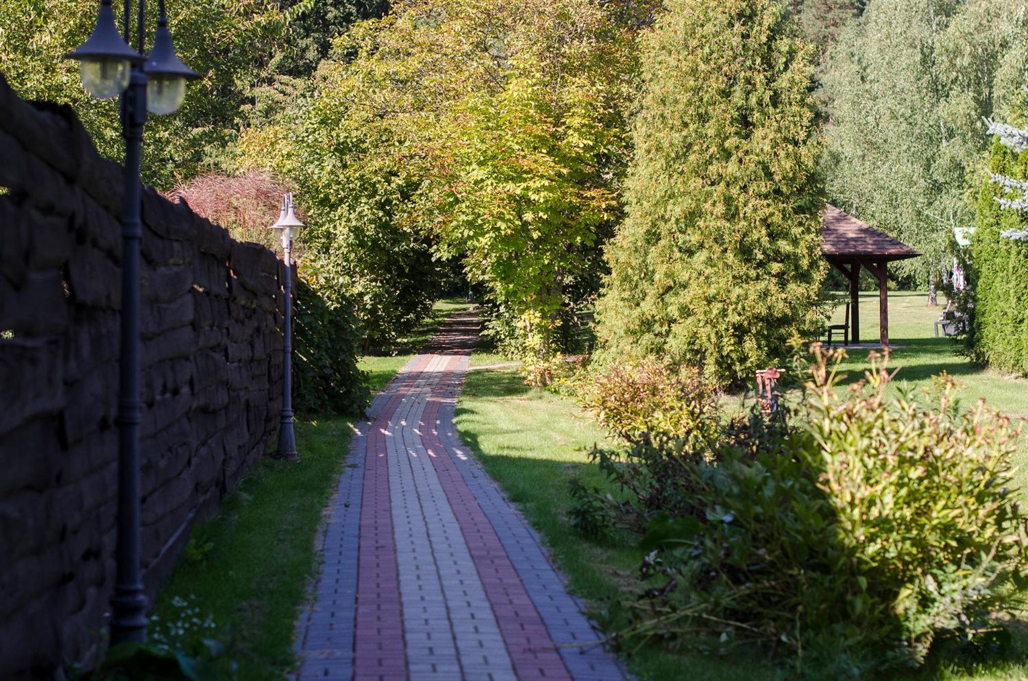 Photo 44
