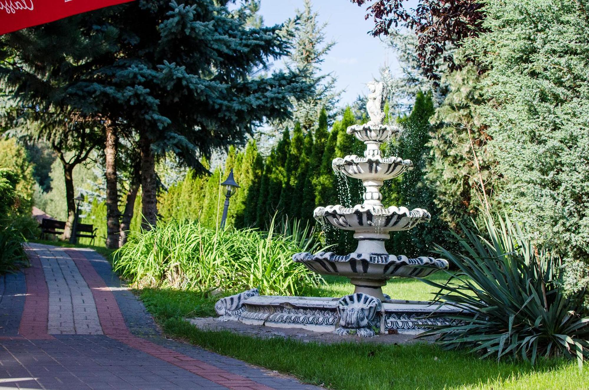 Photo 45