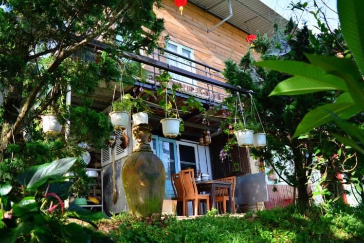 Đèn lồng homestay & coffee view 2