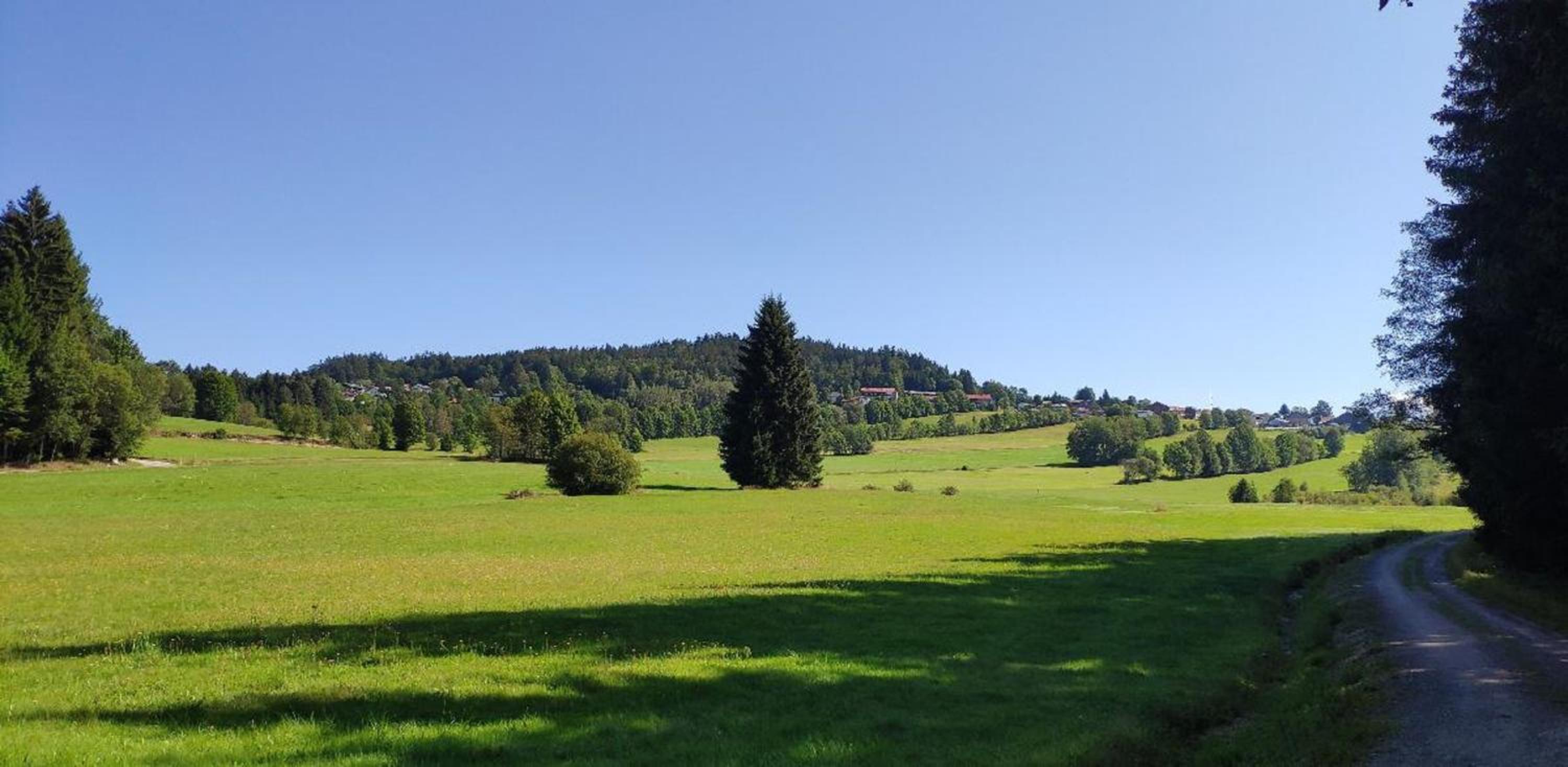 Ferienhof Degenhart view 5