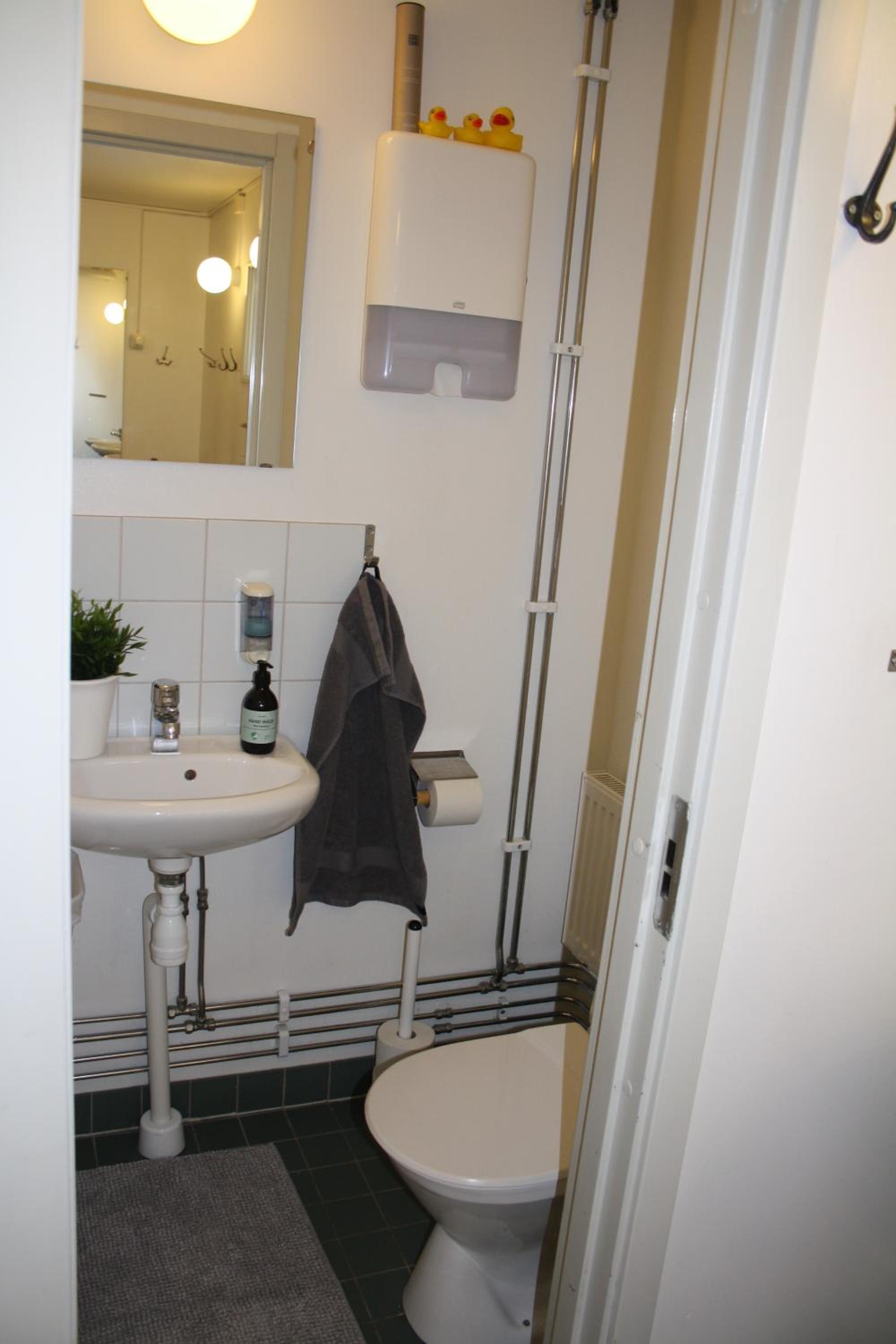 Photo 11