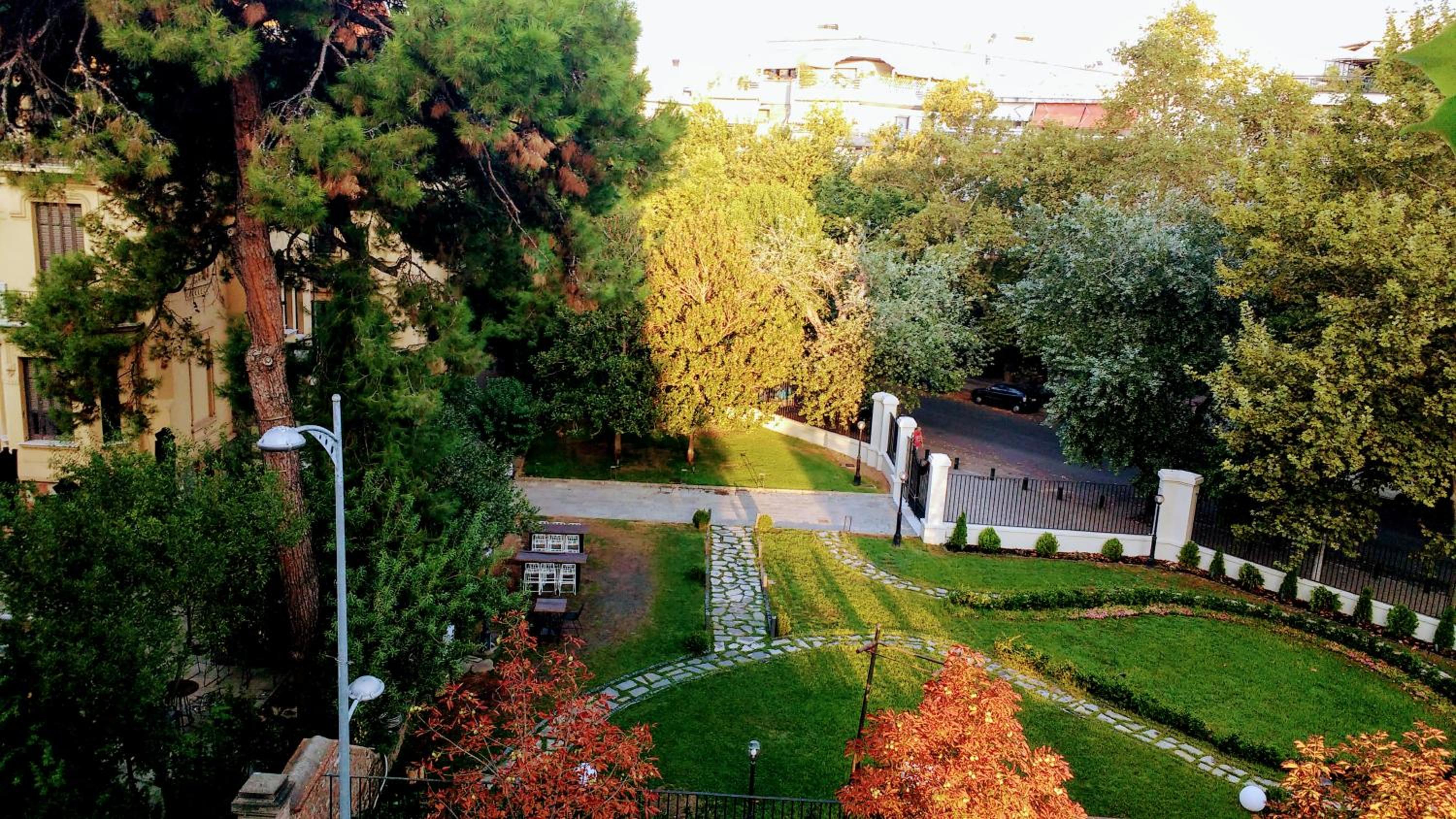 Photo 11