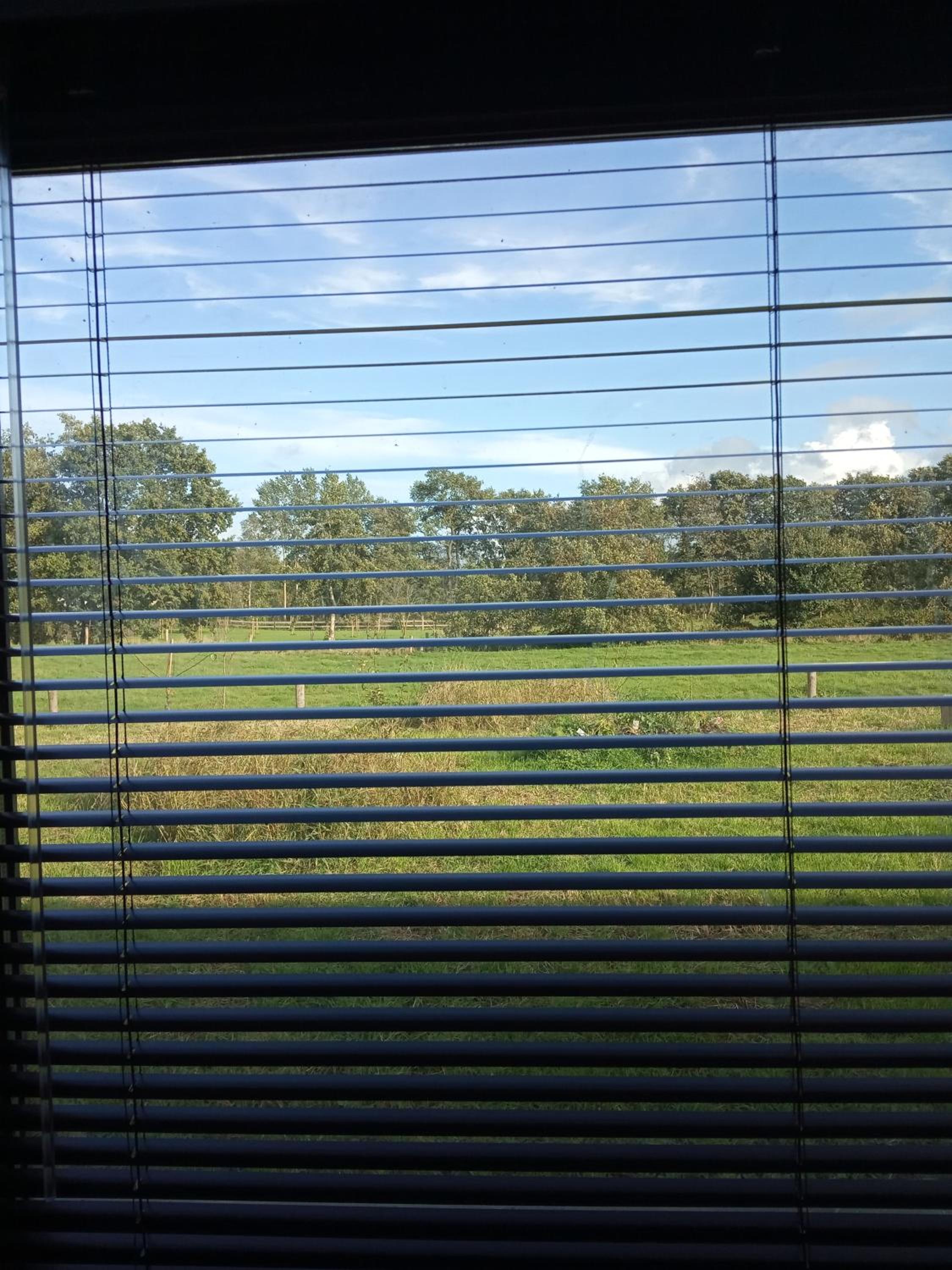 Bij Maus view 2