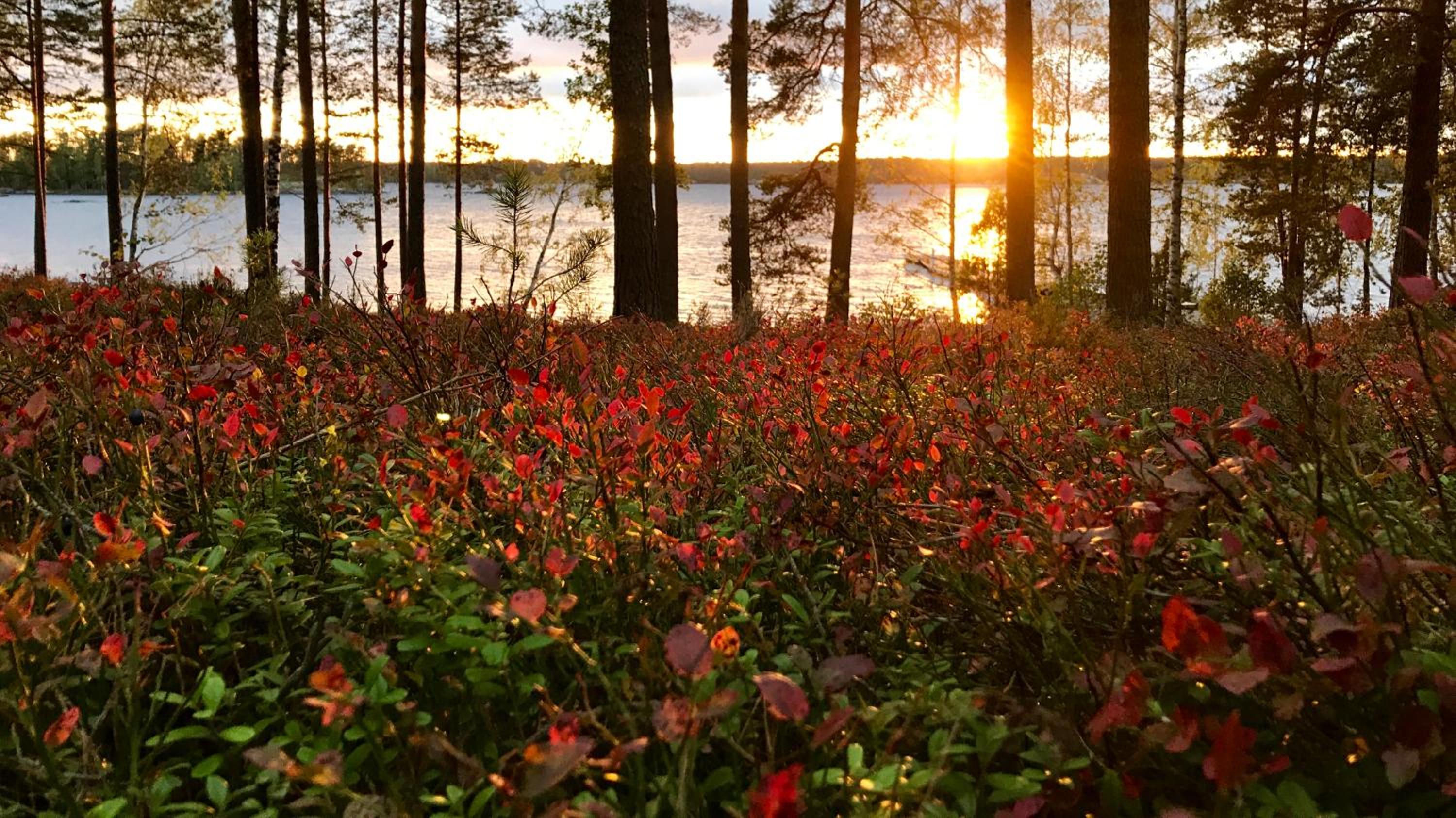 Koskenselän Lomakylä