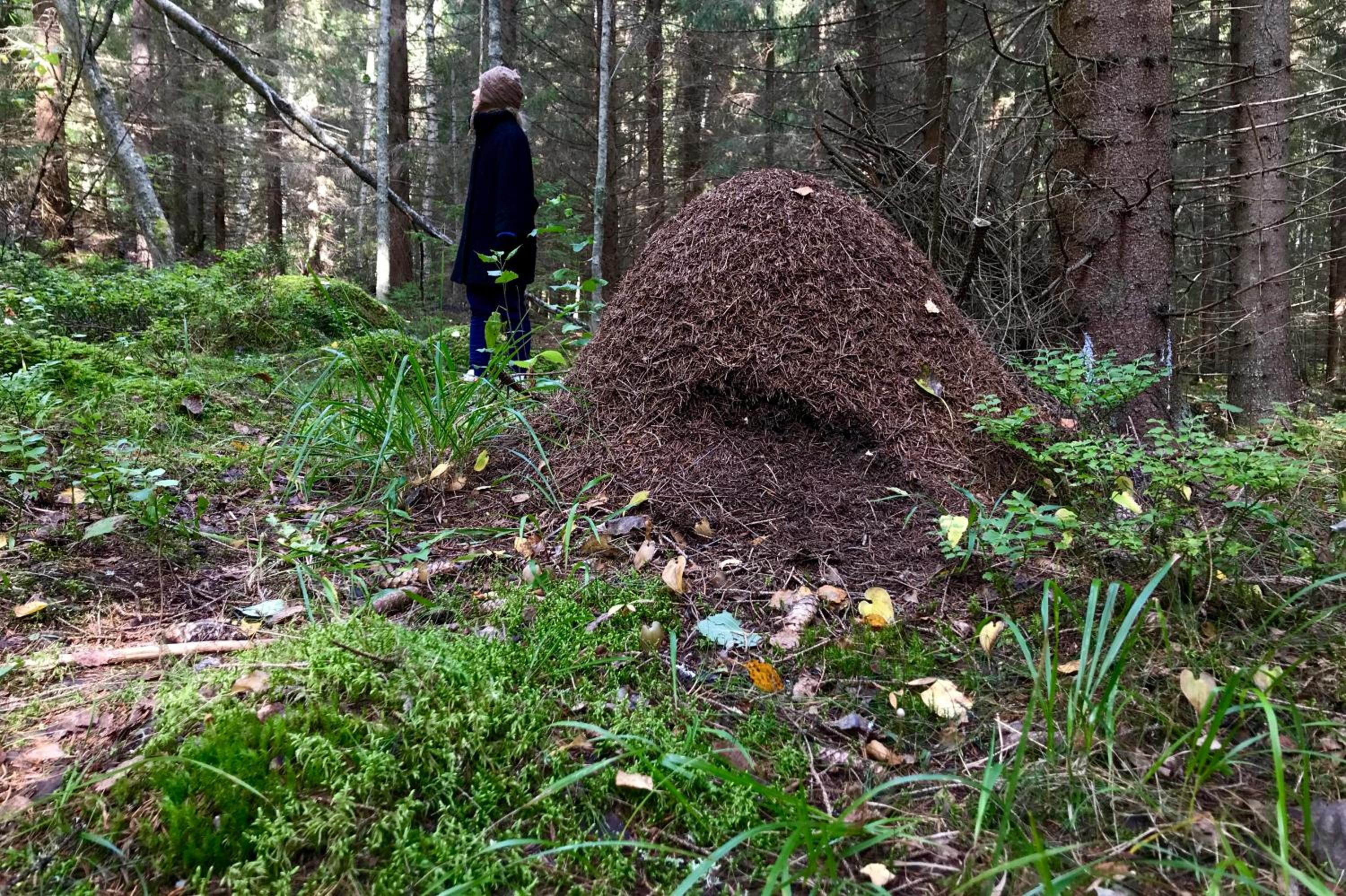 Koskenselän Lomakylä