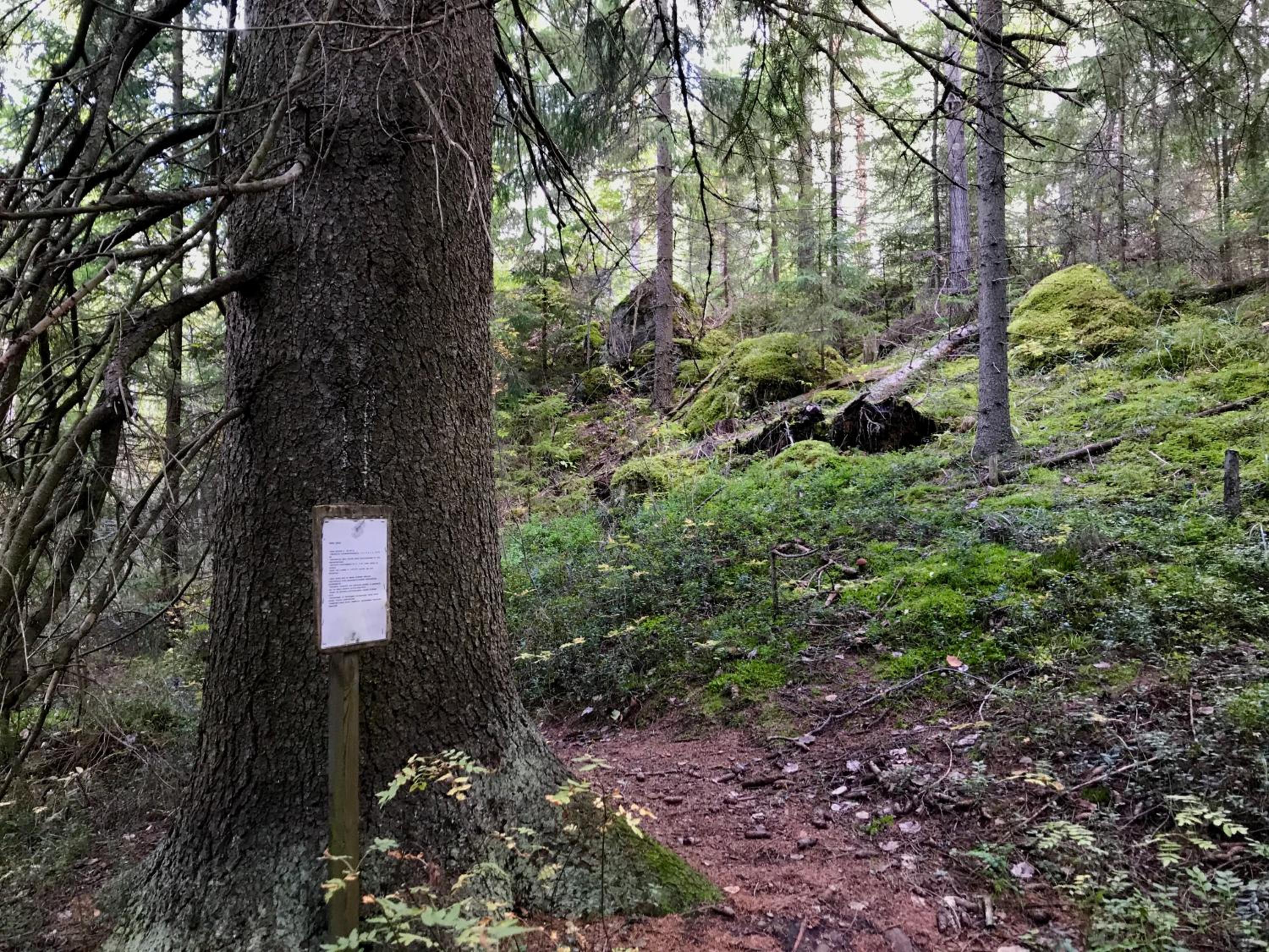 Koskenselän Lomakylä