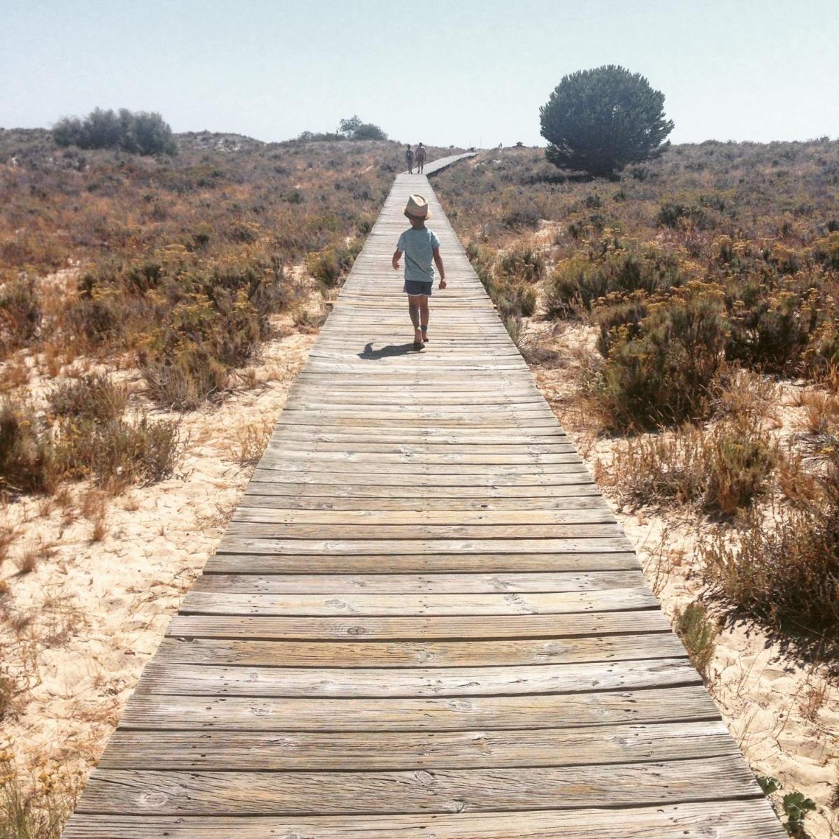 Photo 44