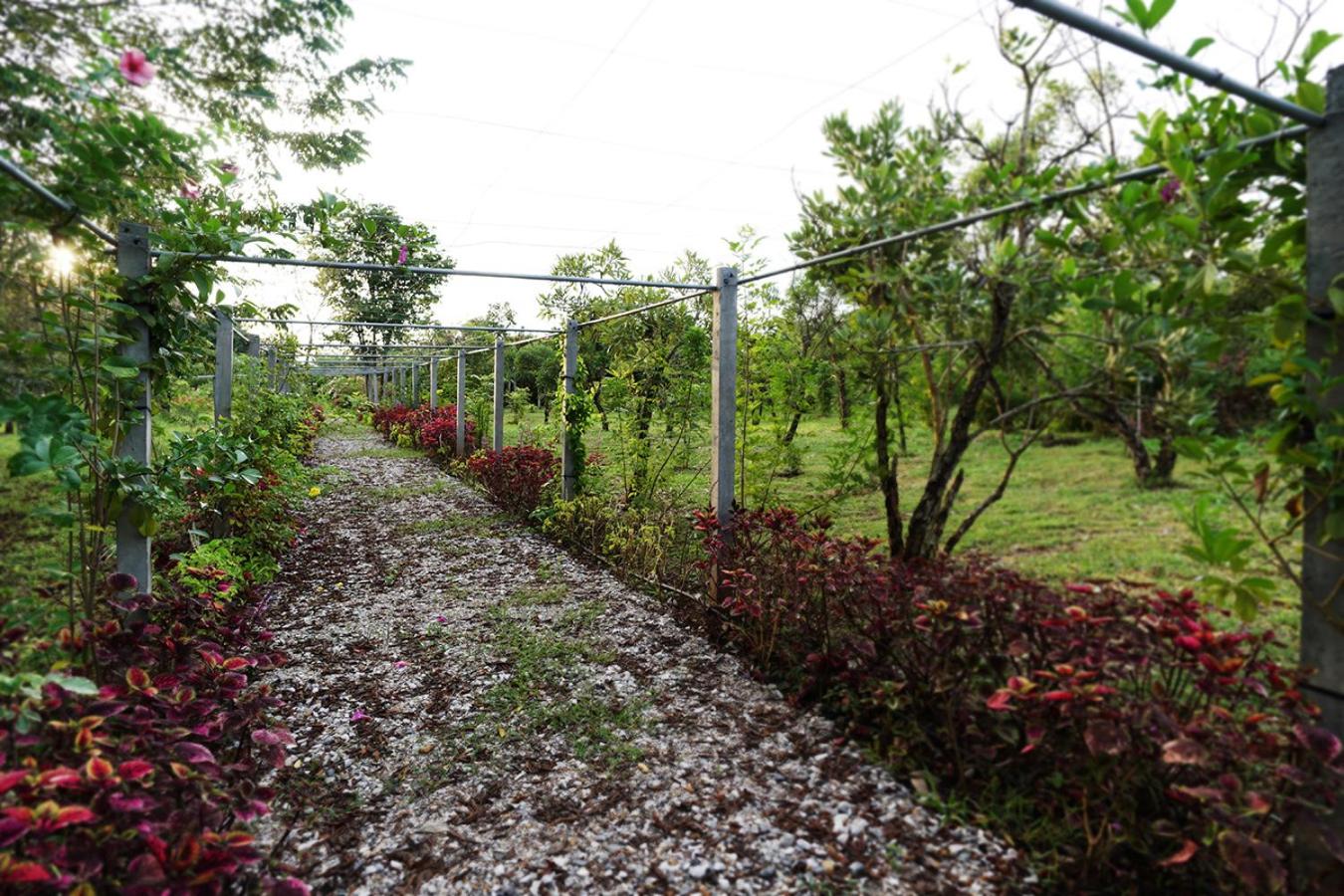 Photo 25