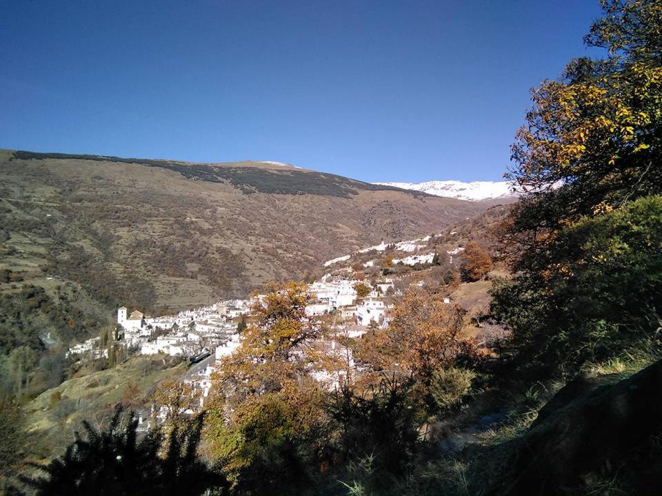 Photo 46