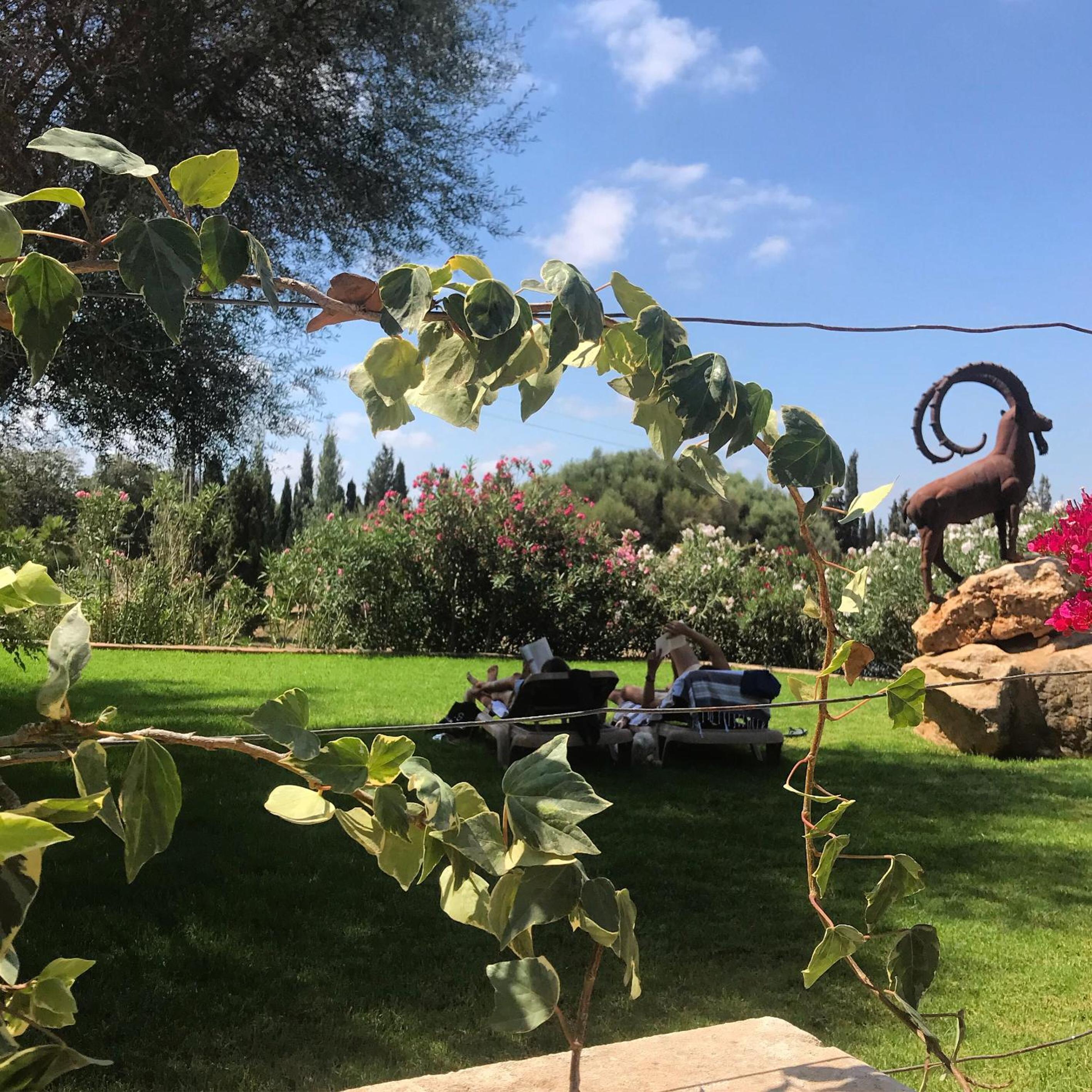 Finca Agroturismo Son Menut