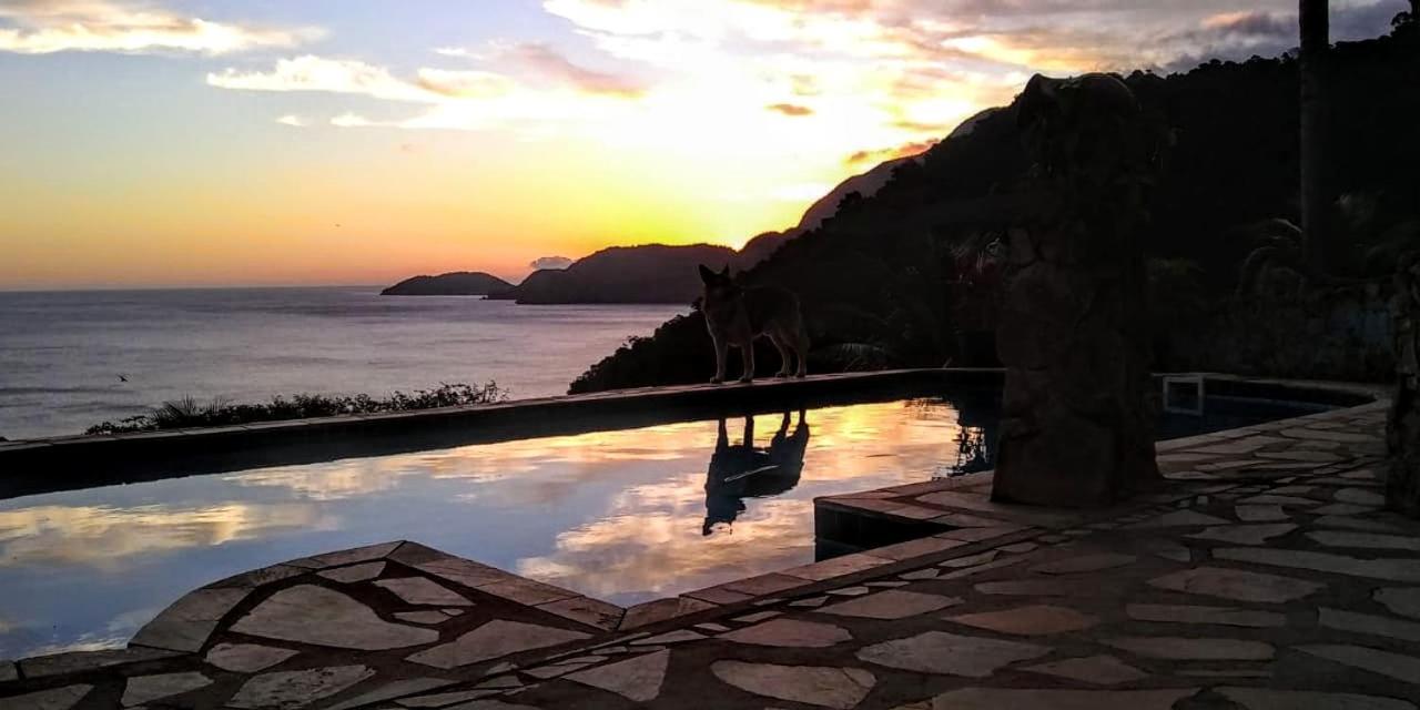 Vila Lia